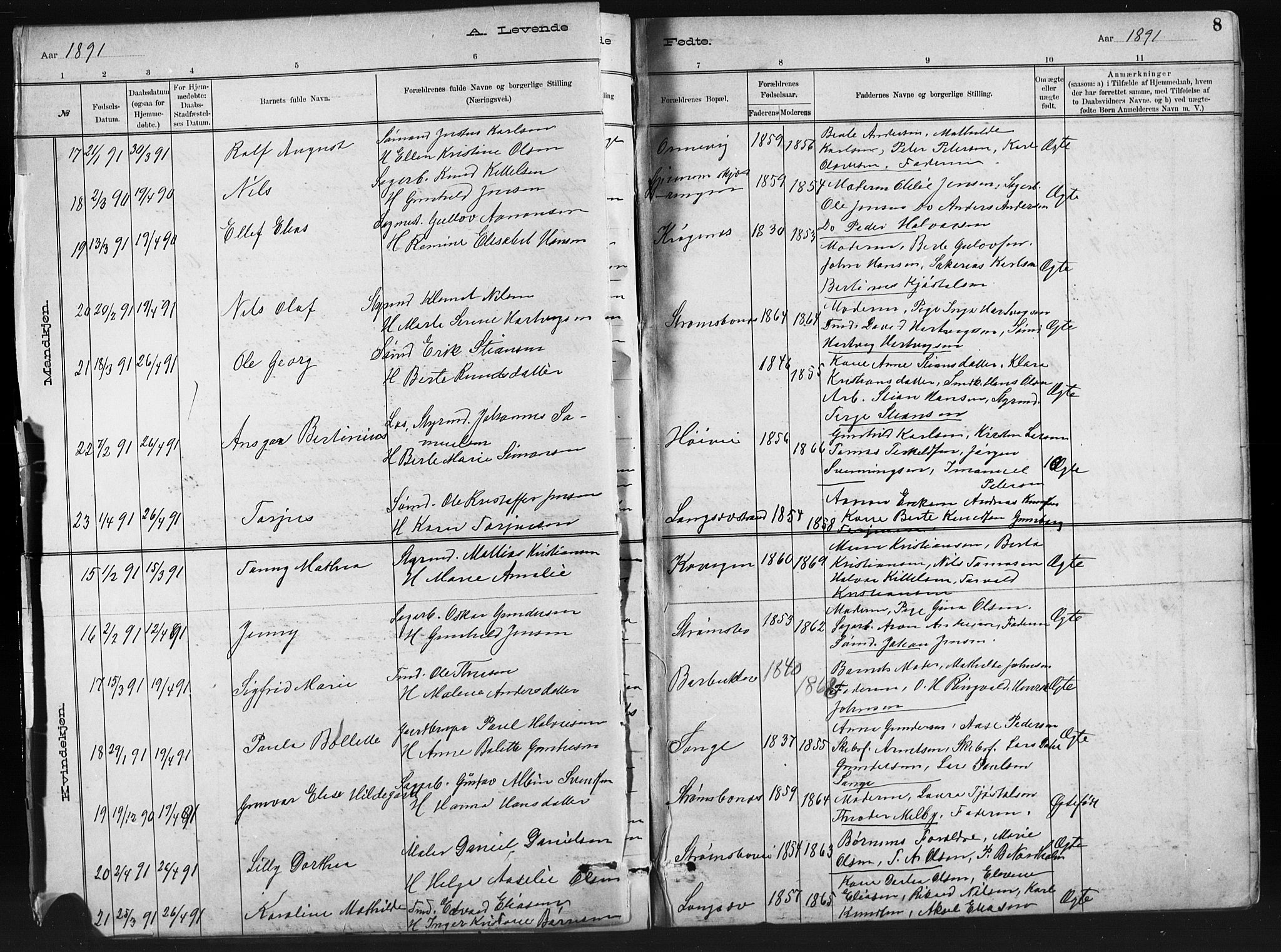 Barbu sokneprestkontor, AV/SAK-1111-0003/F/Fb/L0002: Parish register (copy) no. B 2, 1890-1922, p. 8