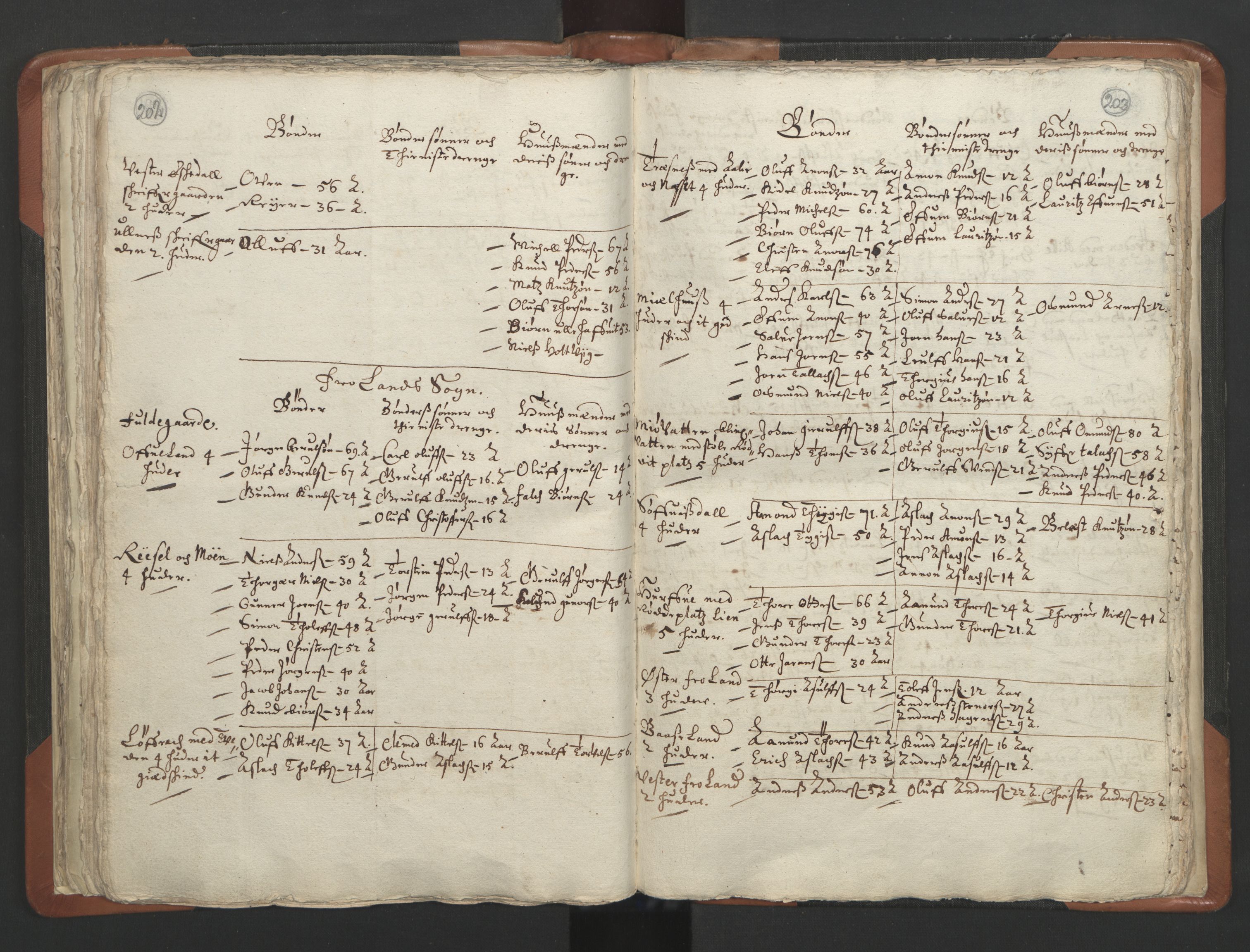 RA, Vicar's Census 1664-1666, no. 13: Nedenes deanery, 1664-1666, p. 202-203