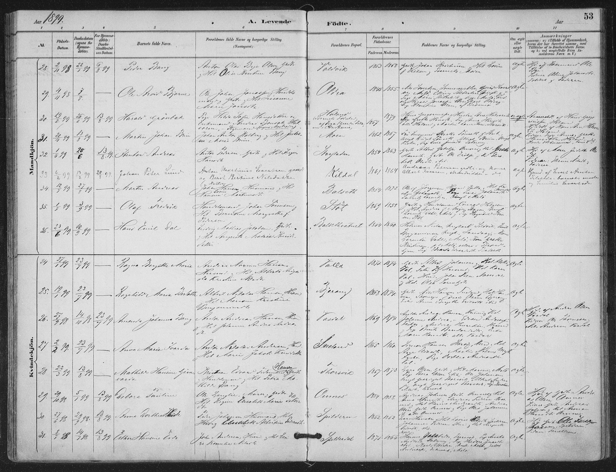 Ministerialprotokoller, klokkerbøker og fødselsregistre - Nordland, SAT/A-1459/843/L0628: Parish register (official) no. 843A03, 1889-1907, p. 53