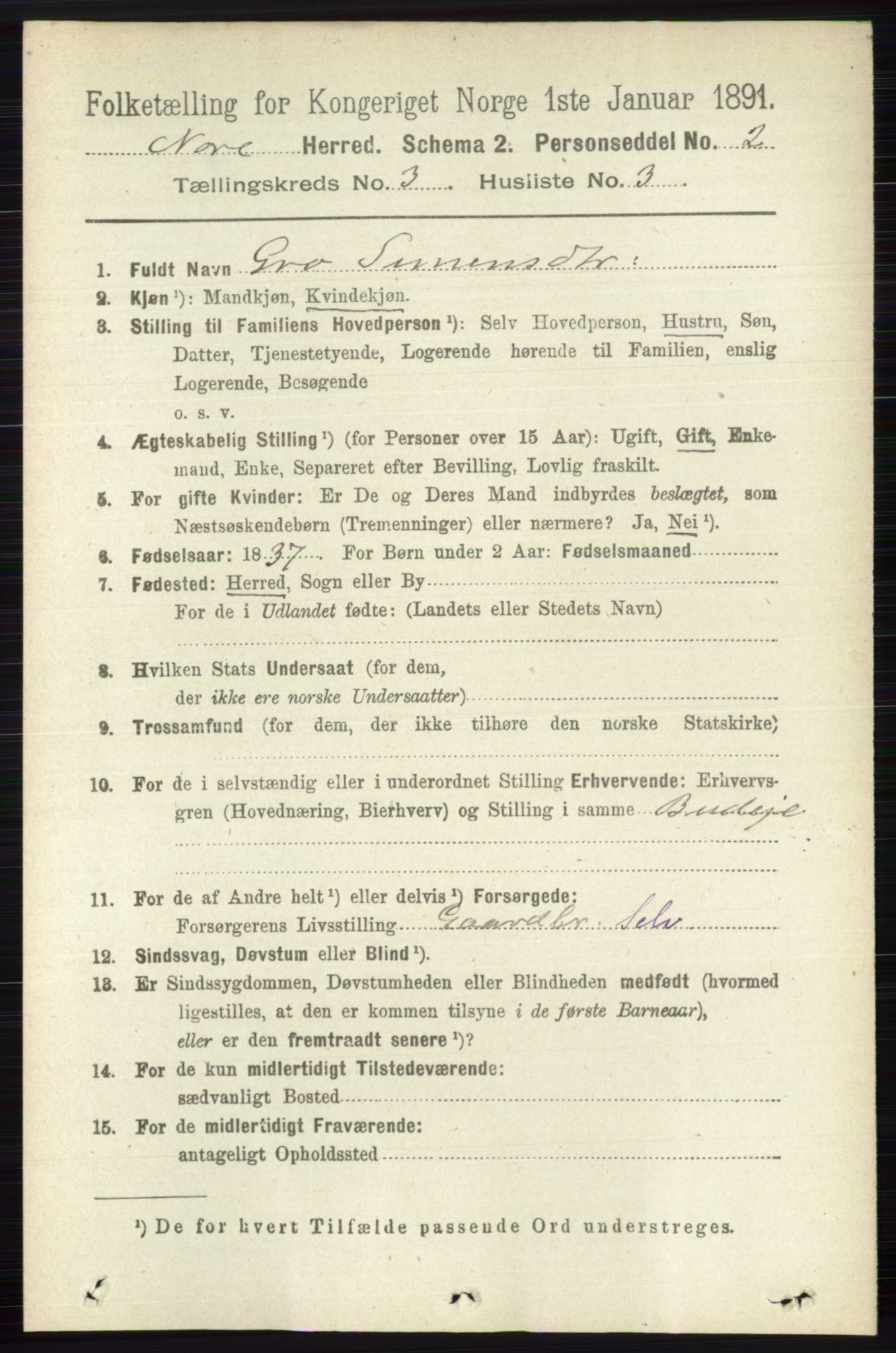 RA, 1891 census for 0633 Nore, 1891, p. 750