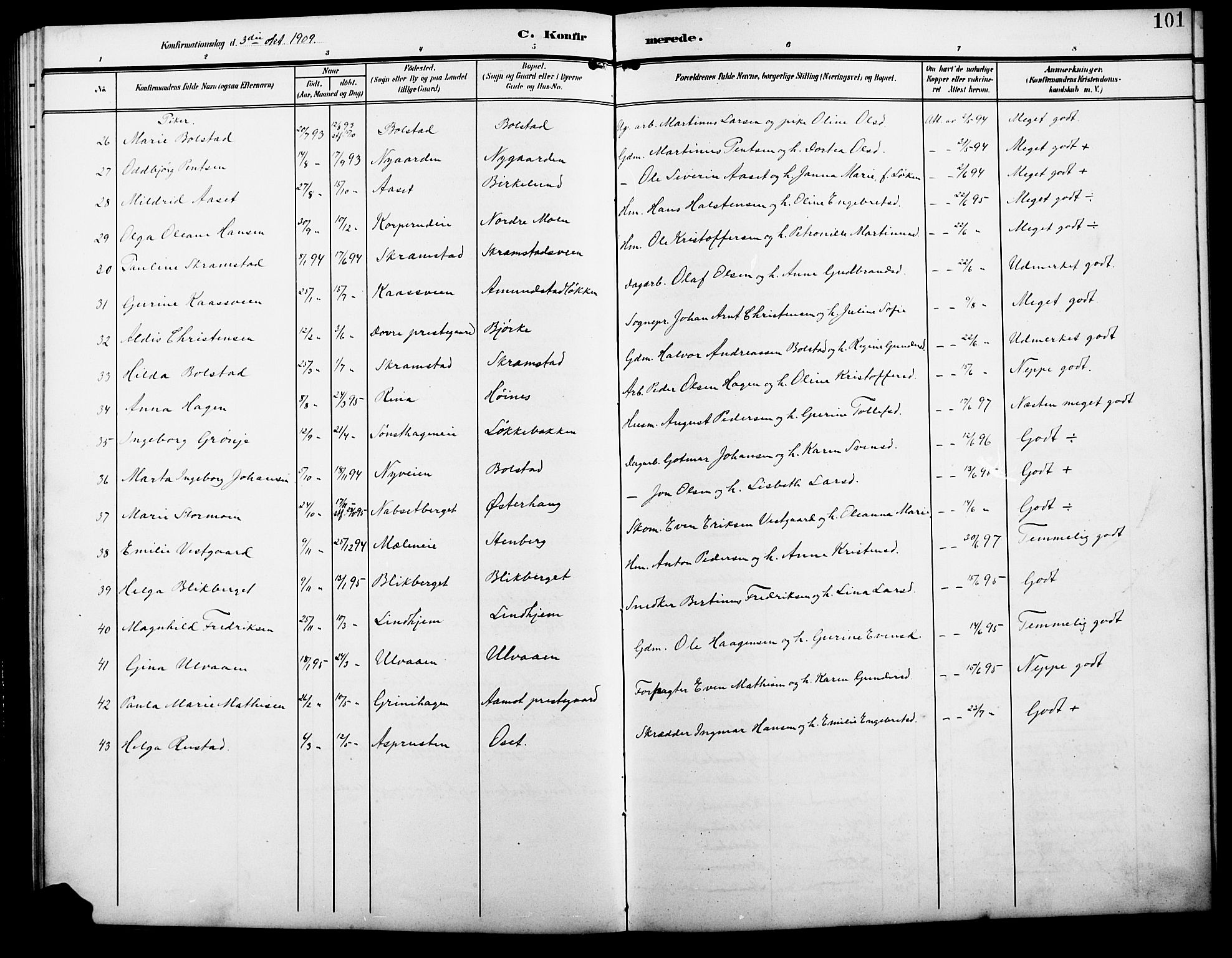 Åmot prestekontor, Hedmark, SAH/PREST-056/H/Ha/Hab/L0004: Parish register (copy) no. 4, 1905-1920, p. 101