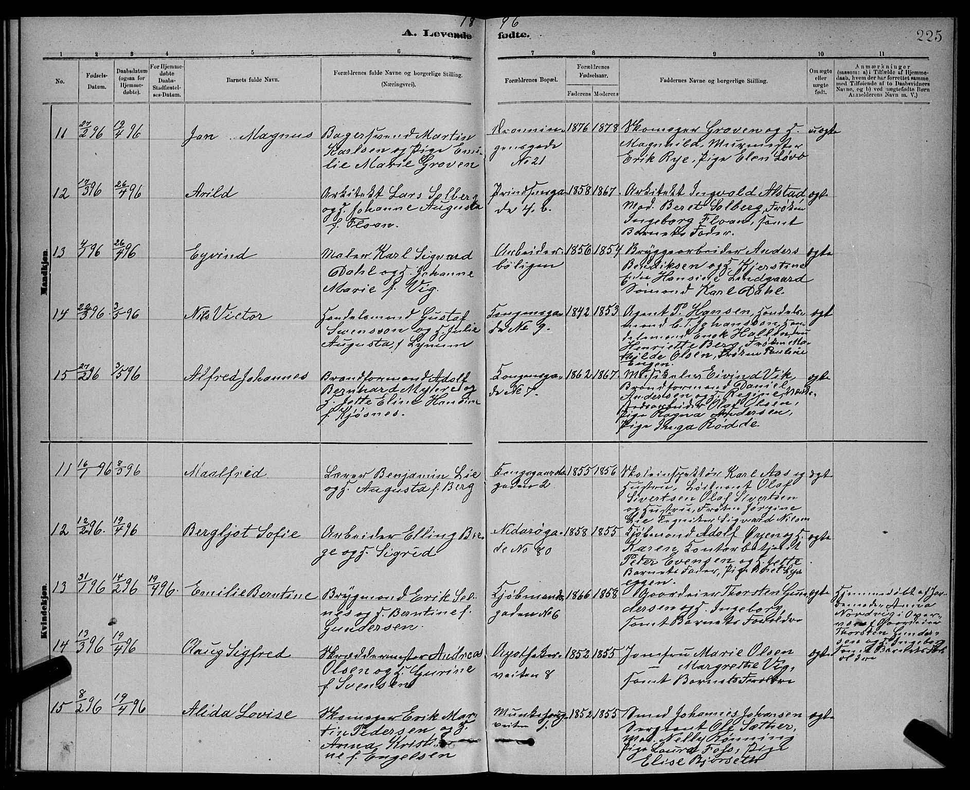 Ministerialprotokoller, klokkerbøker og fødselsregistre - Sør-Trøndelag, AV/SAT-A-1456/601/L0092: Parish register (copy) no. 601C10, 1884-1897, p. 225