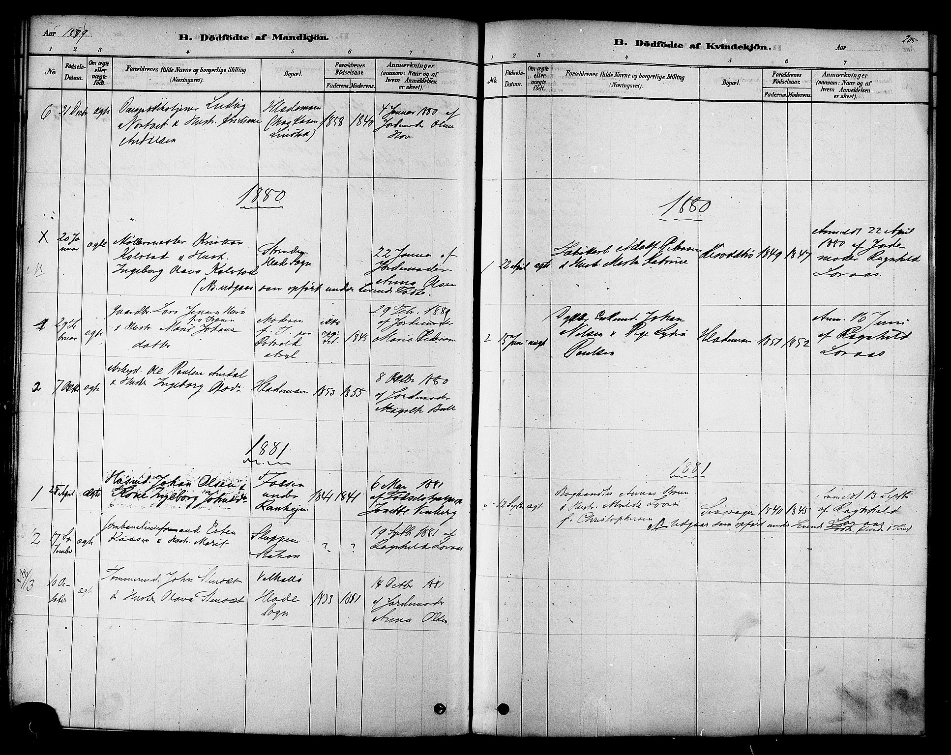 Ministerialprotokoller, klokkerbøker og fødselsregistre - Sør-Trøndelag, SAT/A-1456/606/L0294: Parish register (official) no. 606A09, 1878-1886, p. 205