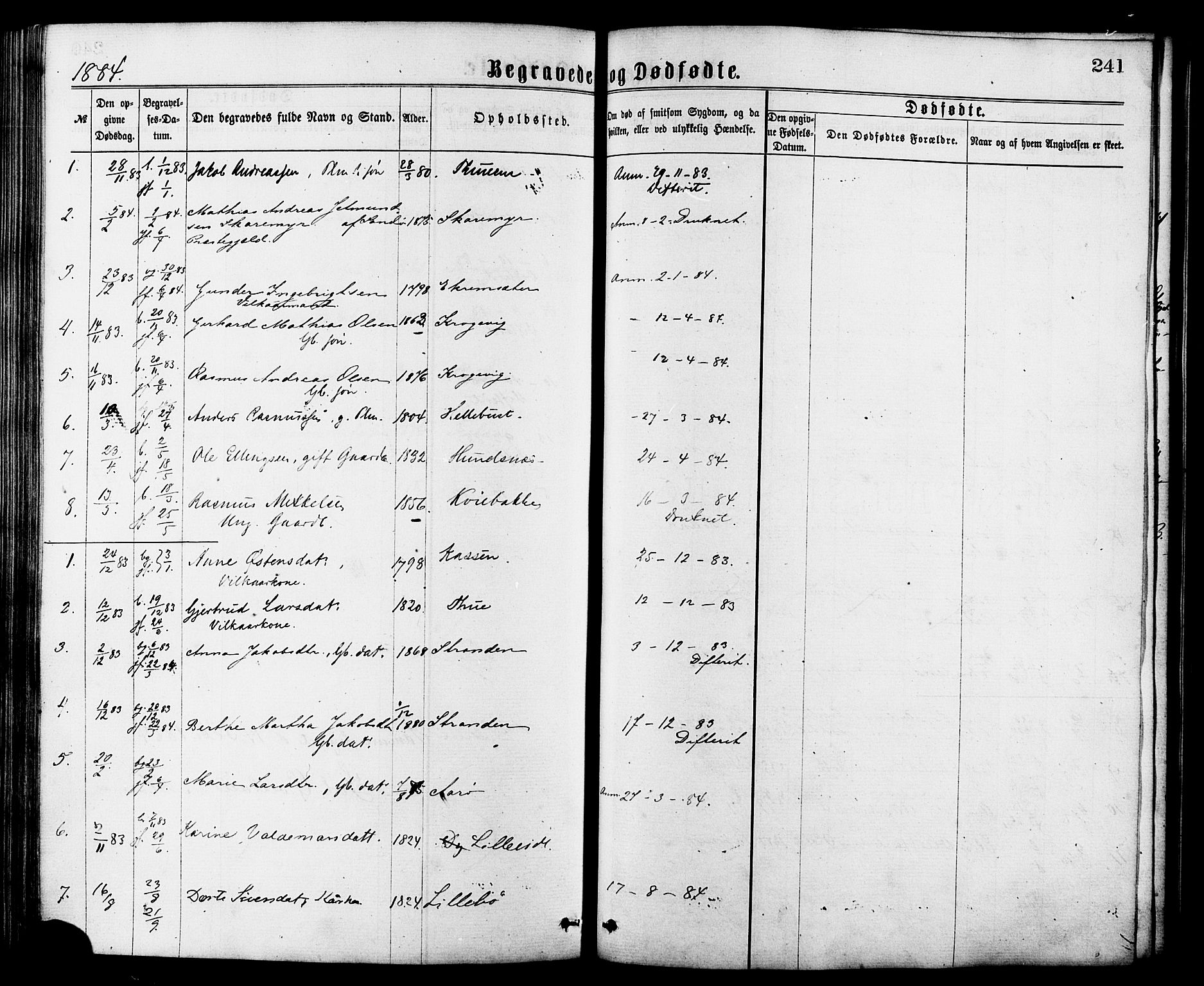 Ministerialprotokoller, klokkerbøker og fødselsregistre - Møre og Romsdal, AV/SAT-A-1454/501/L0007: Parish register (official) no. 501A07, 1868-1884, p. 241