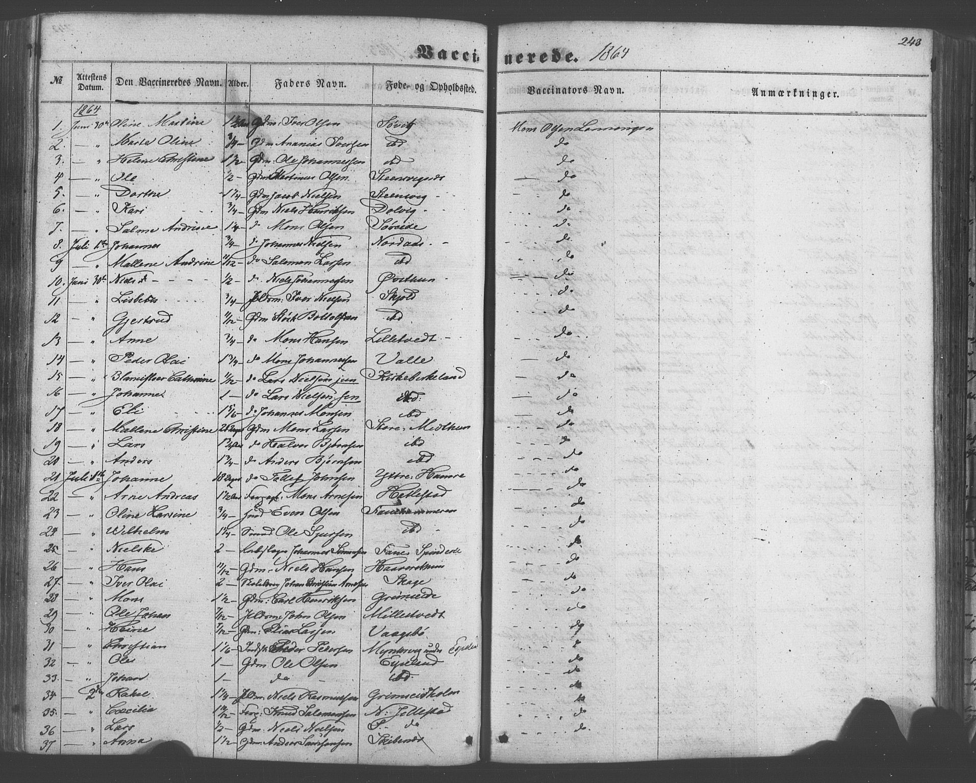 Fana Sokneprestembete, SAB/A-75101/H/Haa/Haaa/L0012: Parish register (official) no. A 12, 1862-1878, p. 243