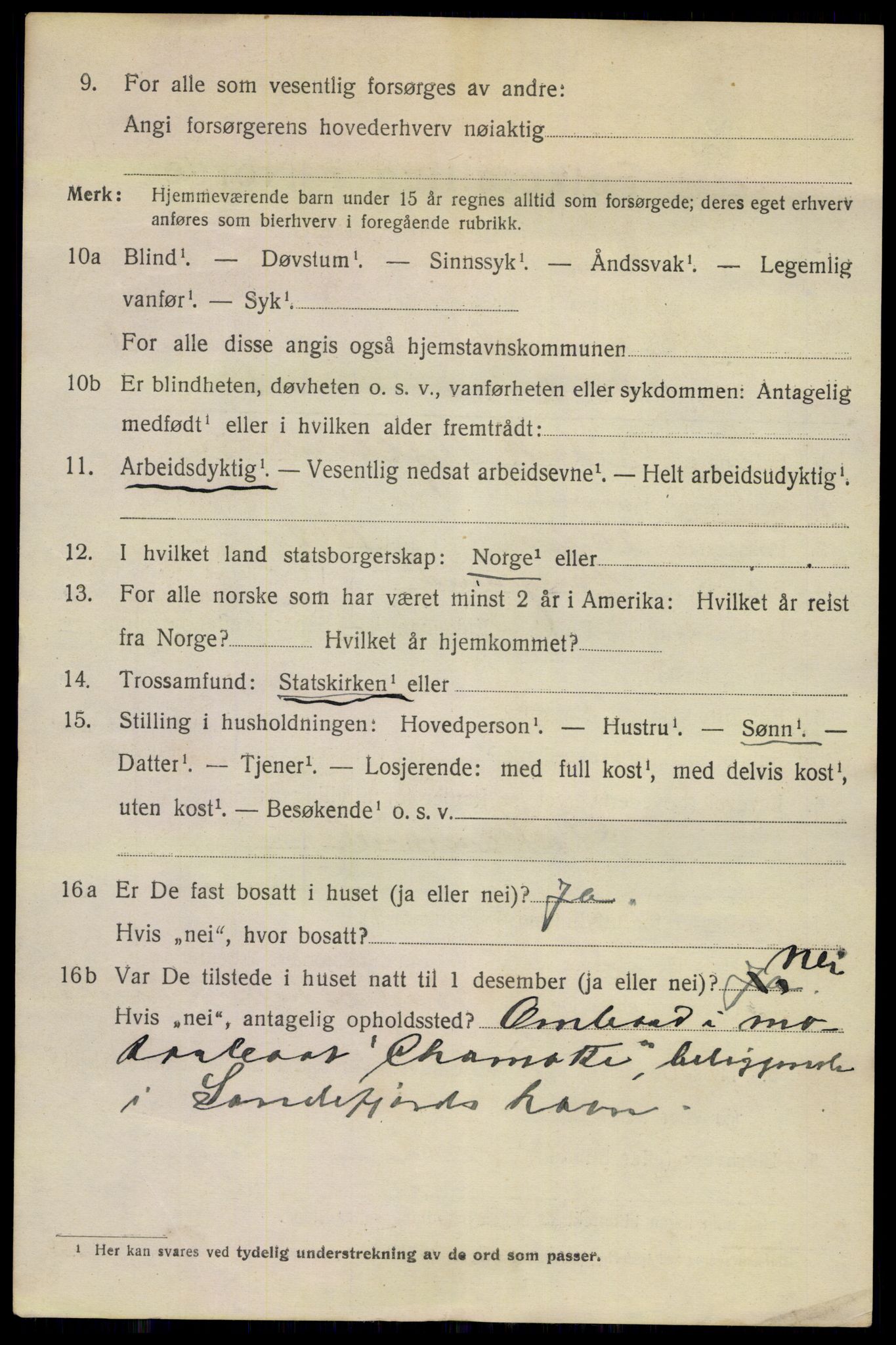 SAKO, 1920 census for Porsgrunn, 1920, p. 7114