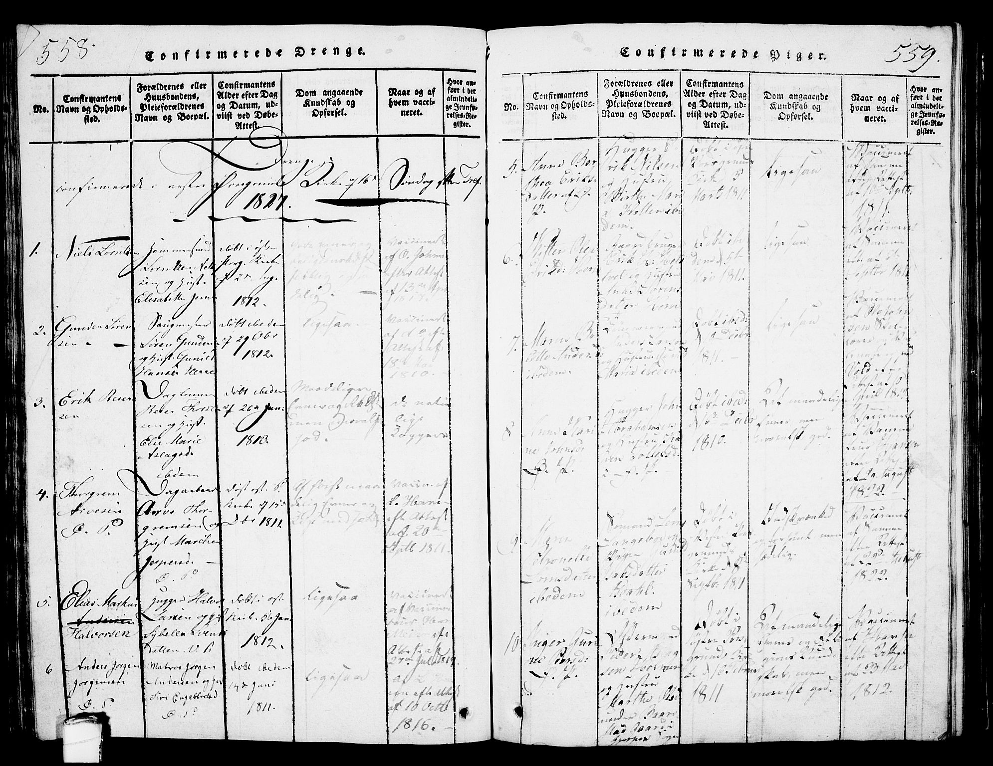 Porsgrunn kirkebøker , SAKO/A-104/G/Gb/L0001: Parish register (copy) no. II 1, 1817-1828, p. 558-559