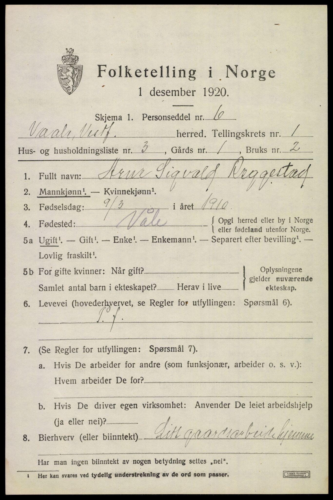 SAKO, 1920 census for Våle, 1920, p. 1110