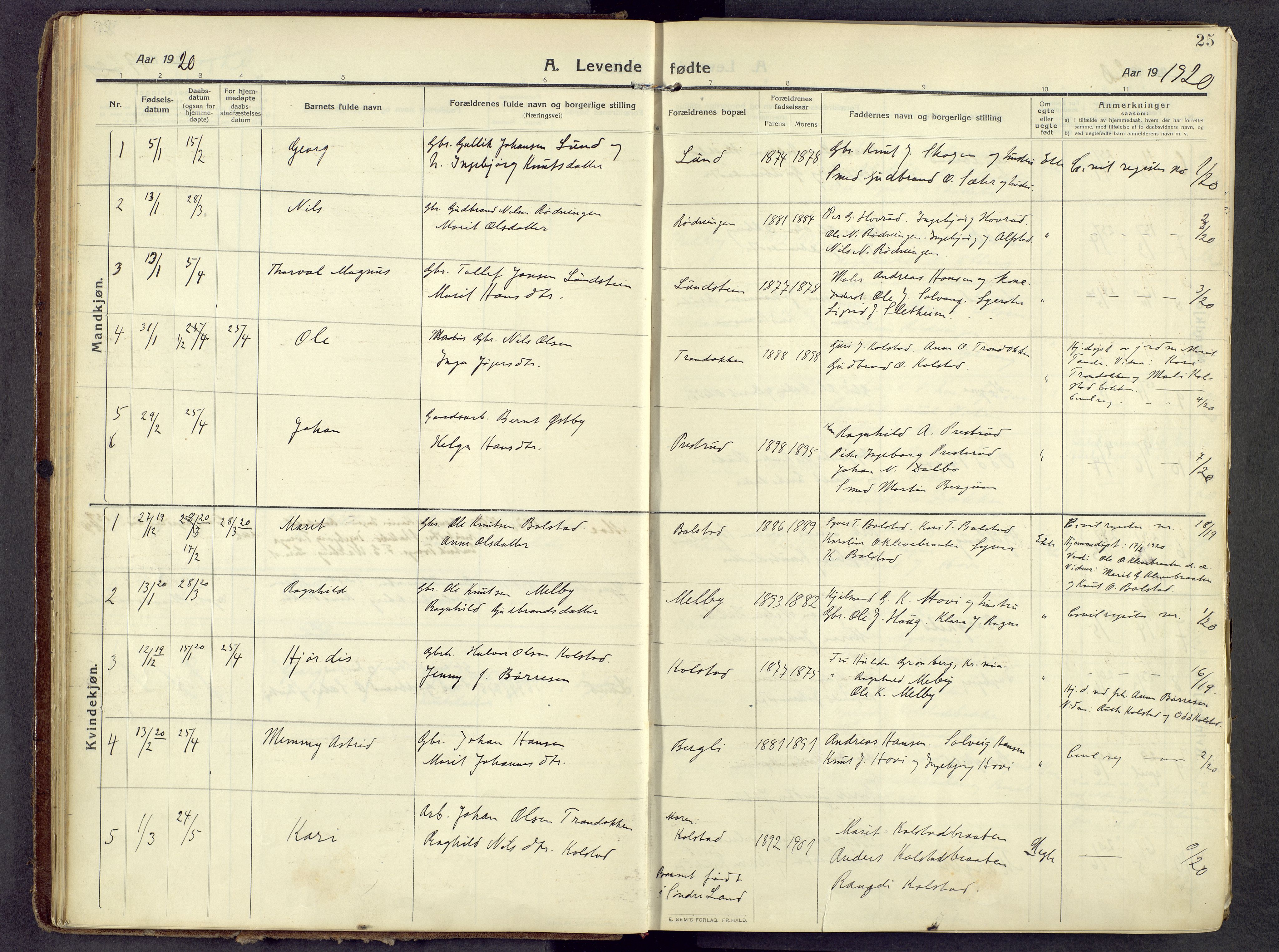 Øystre Slidre prestekontor, AV/SAH-PREST-138/H/Ha/Haa/L0006: Parish register (official) no. 6, 1911-1931, p. 25