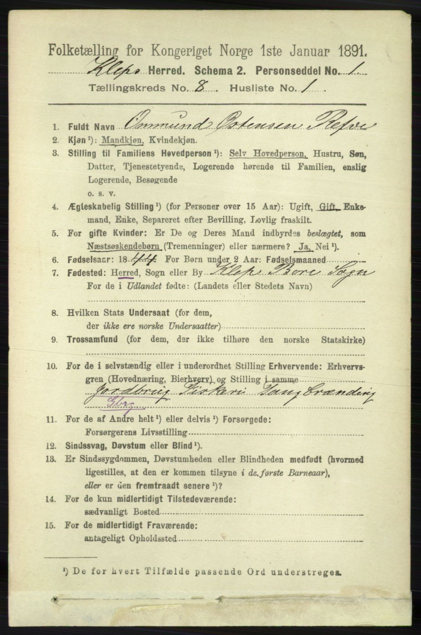 RA, 1891 census for 1120 Klepp, 1891, p. 2505