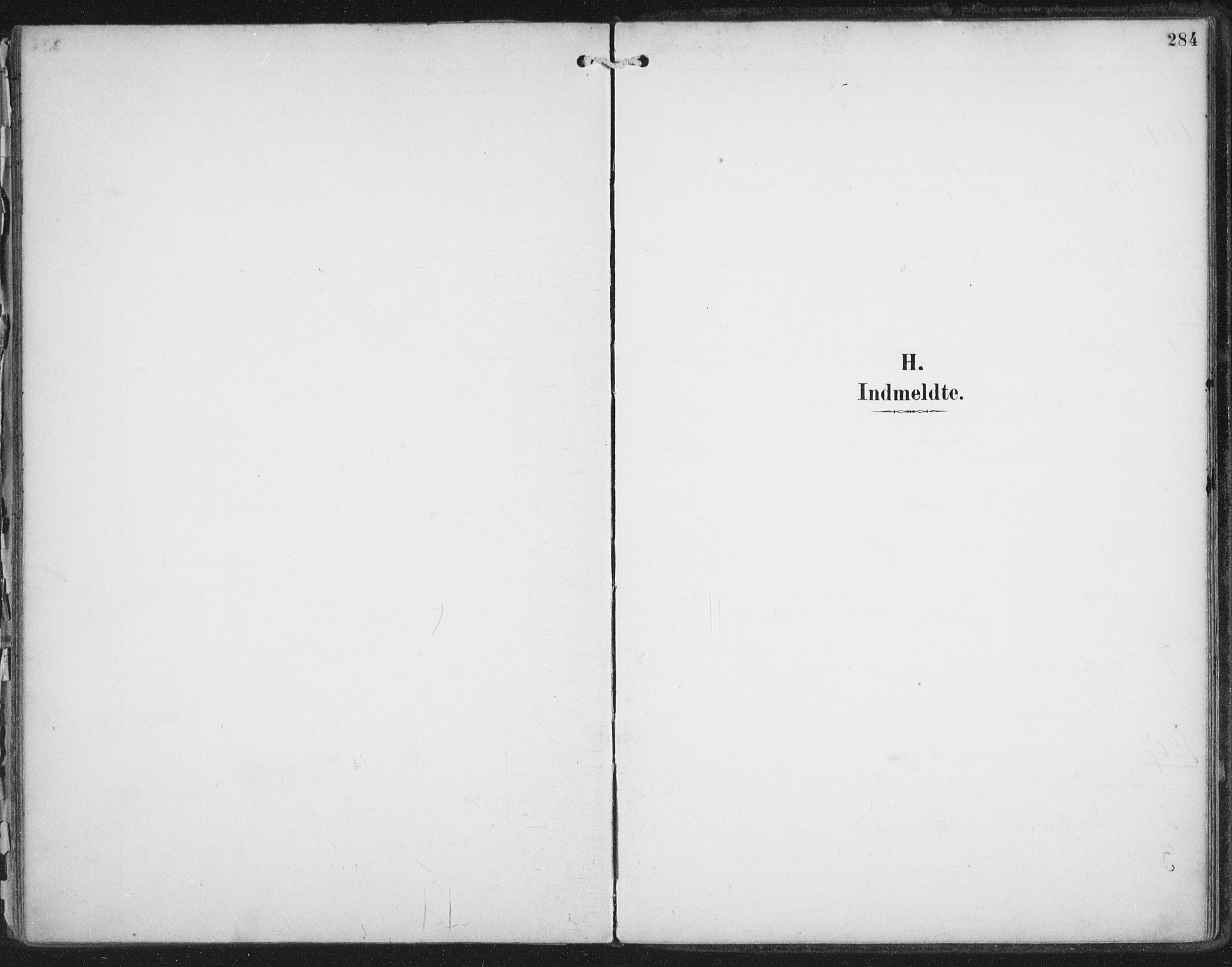 Ministerialprotokoller, klokkerbøker og fødselsregistre - Nordland, AV/SAT-A-1459/854/L0779: Parish register (official) no. 854A02, 1892-1909, p. 284