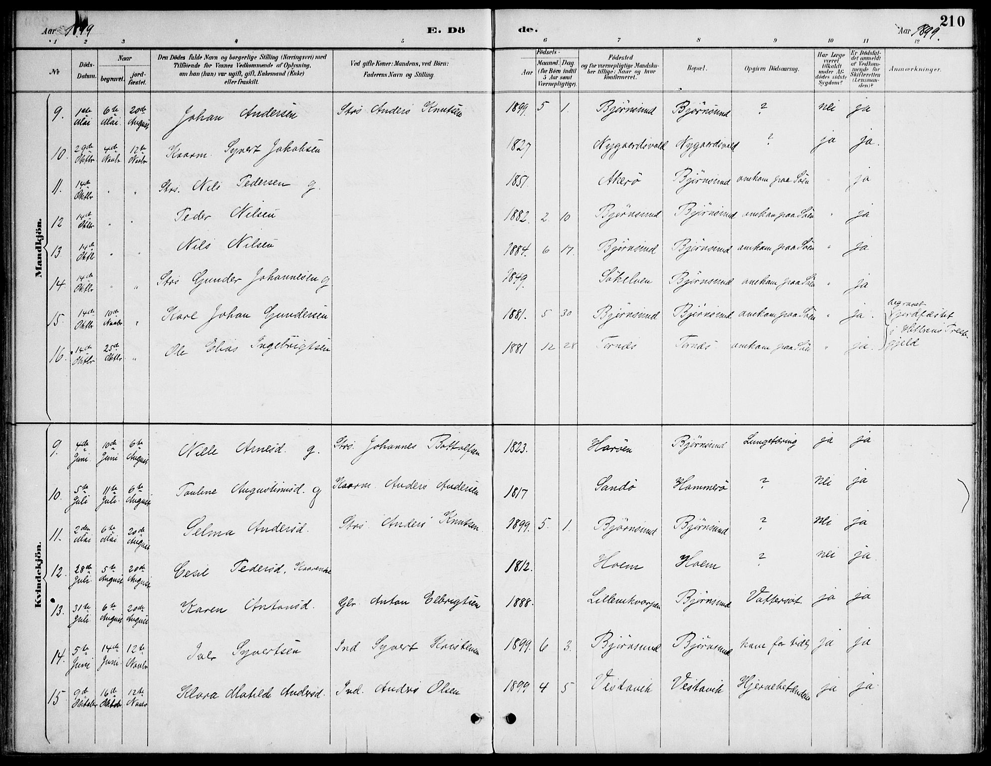 Ministerialprotokoller, klokkerbøker og fødselsregistre - Møre og Romsdal, SAT/A-1454/565/L0750: Parish register (official) no. 565A04, 1887-1905, p. 210