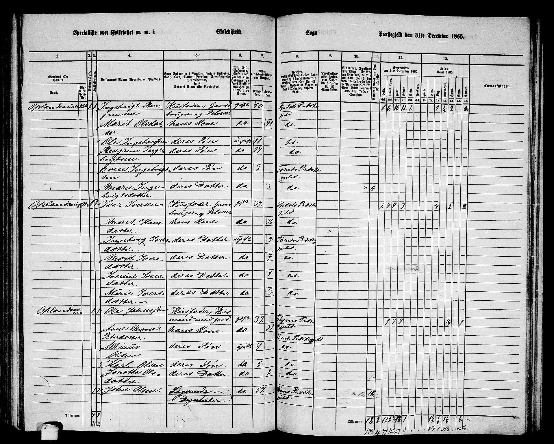 RA, 1865 census for Fosnes, 1865, p. 110