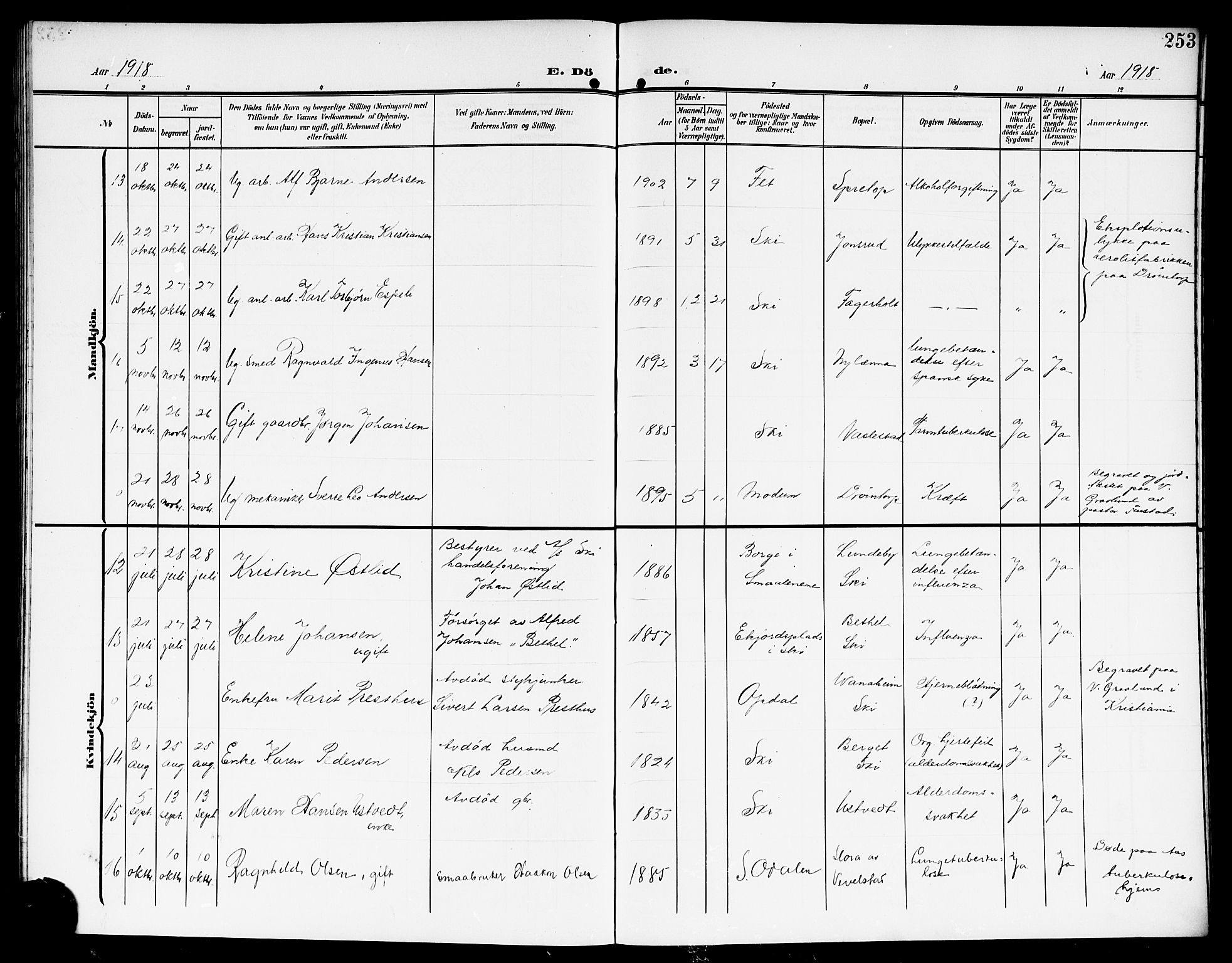 Kråkstad prestekontor Kirkebøker, SAO/A-10125a/G/Gb/L0001: Parish register (copy) no. II 1, 1905-1920, p. 253