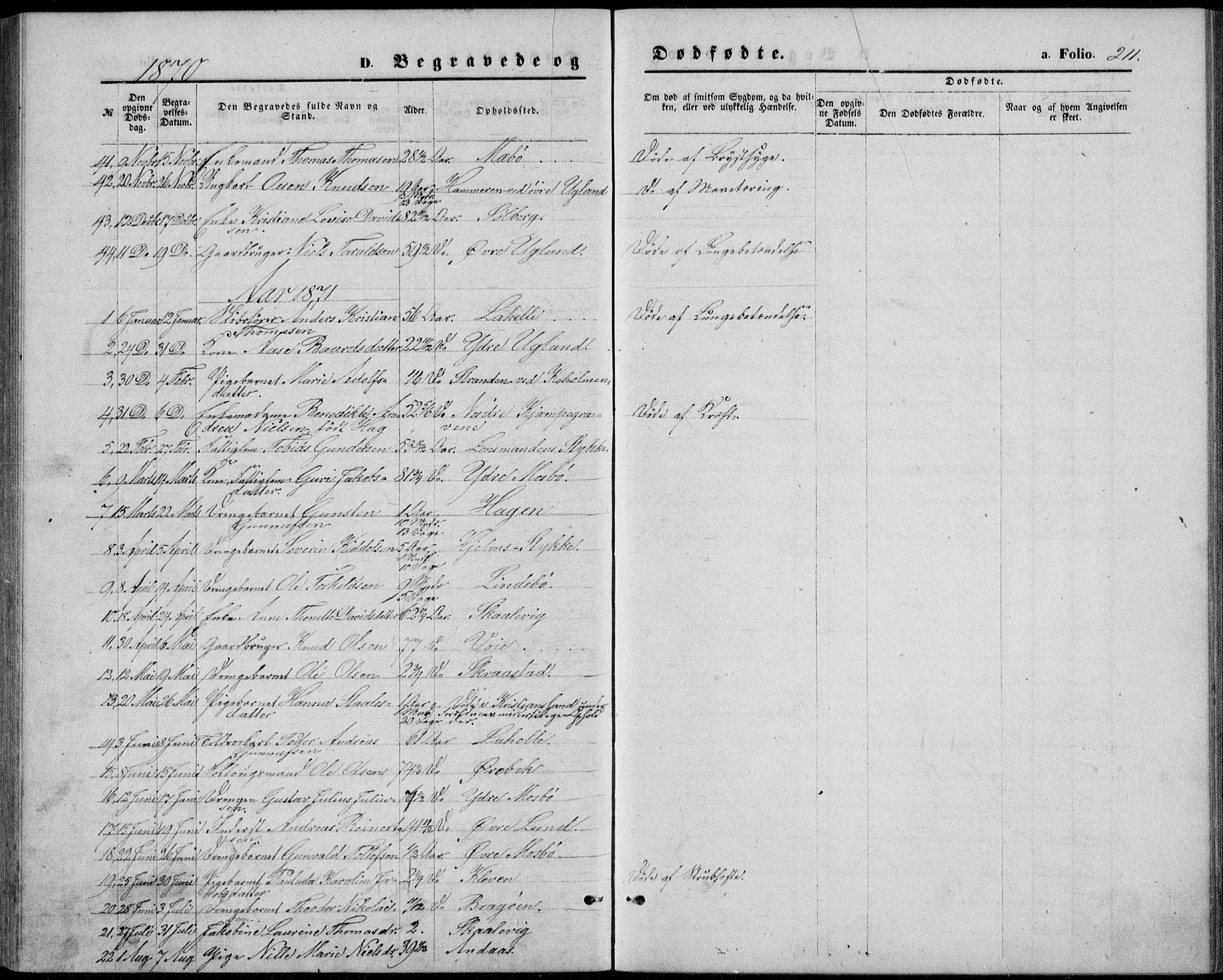 Oddernes sokneprestkontor, AV/SAK-1111-0033/F/Fb/Fba/L0007: Parish register (copy) no. B 7, 1869-1887, p. 211