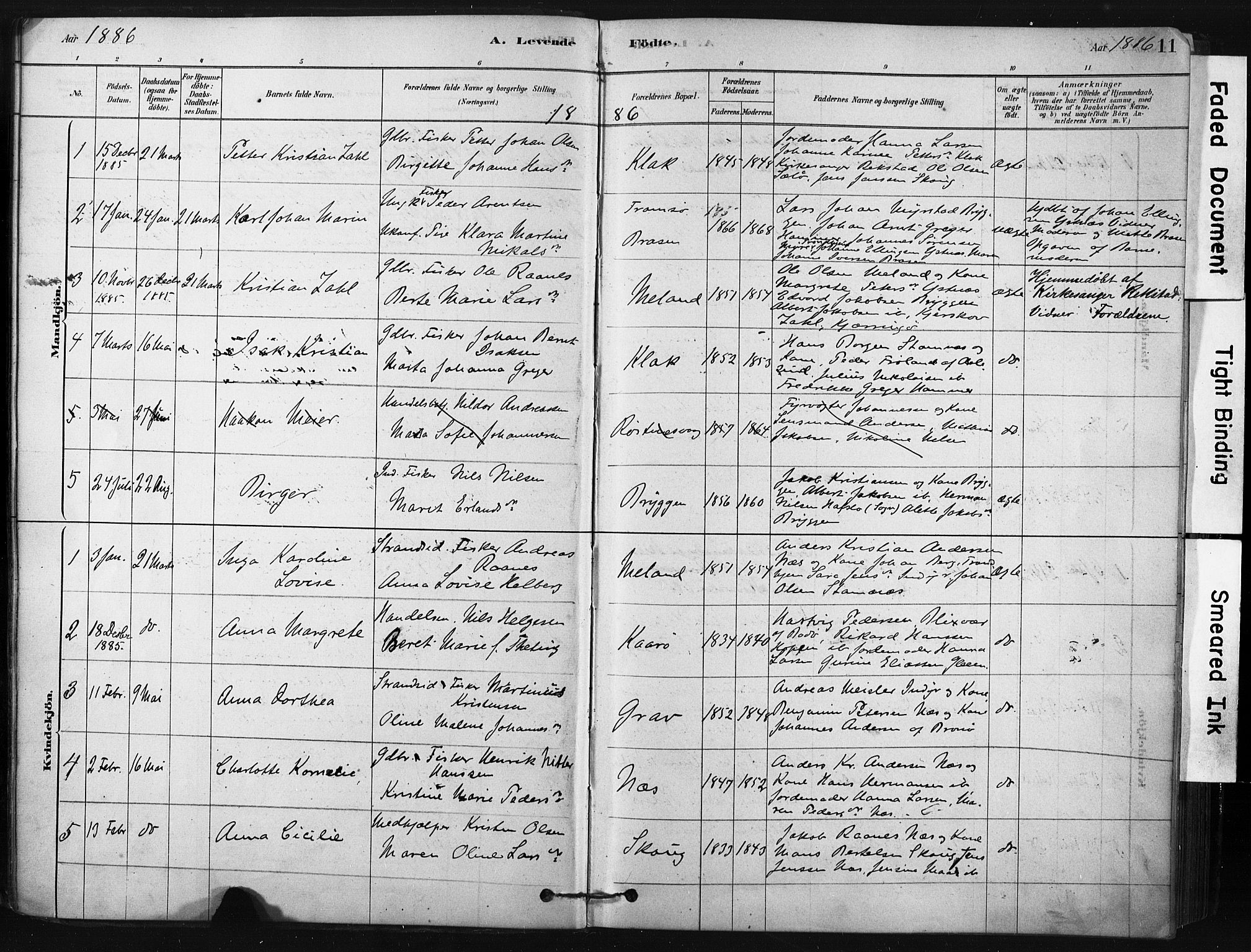 Ministerialprotokoller, klokkerbøker og fødselsregistre - Nordland, AV/SAT-A-1459/808/L0128: Parish register (official) no. 808A01, 1880-1902, p. 11