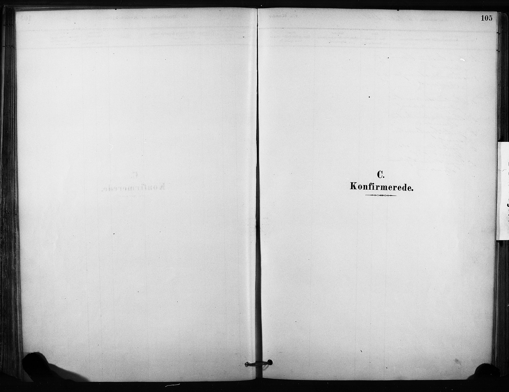 Sandsvær kirkebøker, SAKO/A-244/F/Fc/L0001: Parish register (official) no. III 1, 1878-1923, p. 105
