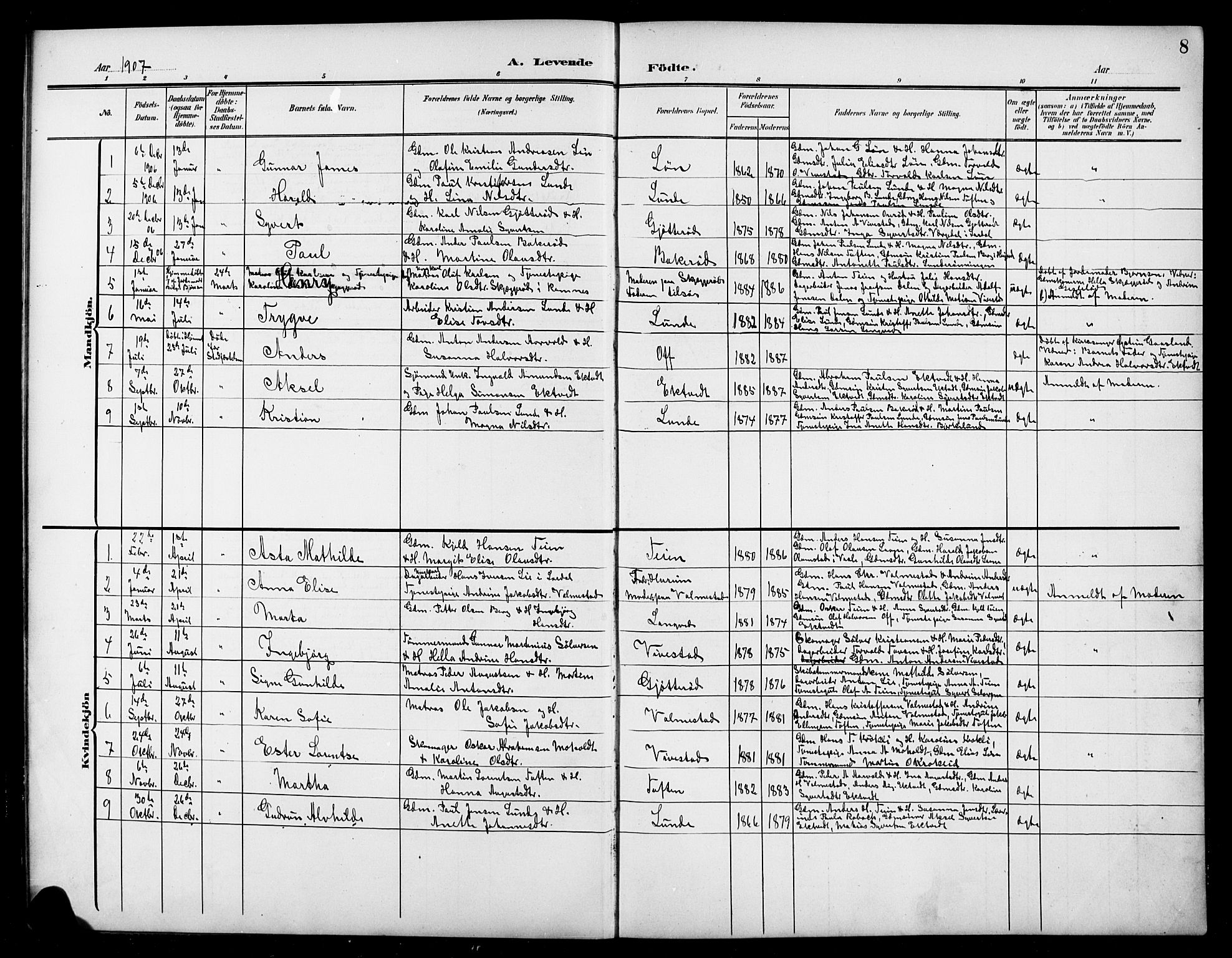 Ramnes kirkebøker, AV/SAKO-A-314/G/Gc/L0002: Parish register (copy) no. III 2, 1903-1924, p. 8