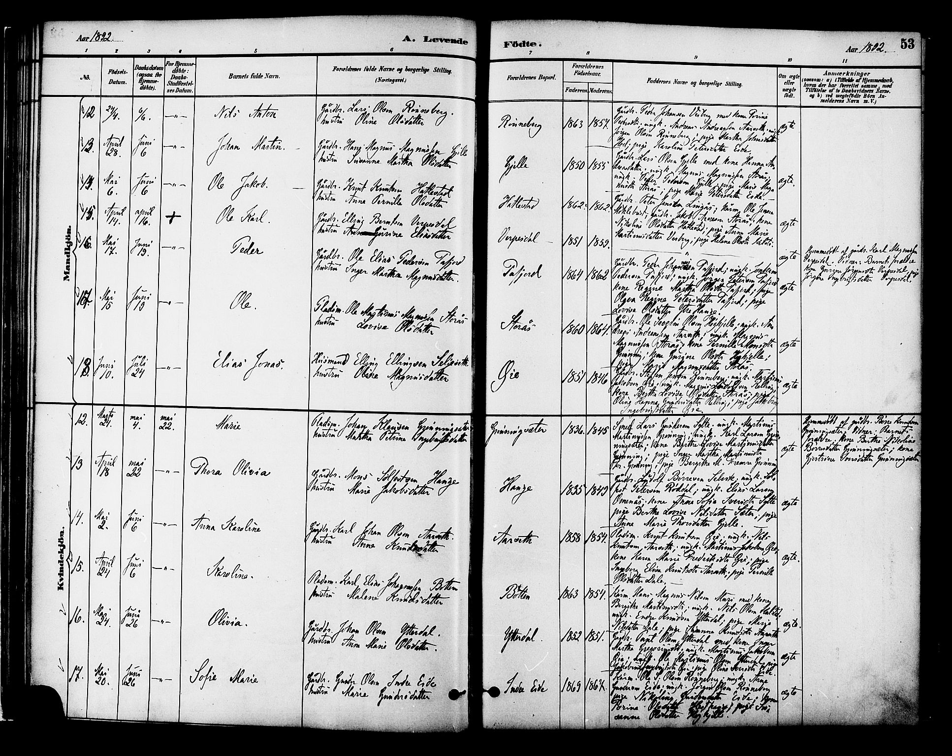 Ministerialprotokoller, klokkerbøker og fødselsregistre - Møre og Romsdal, AV/SAT-A-1454/519/L0255: Parish register (official) no. 519A14, 1884-1908, p. 53