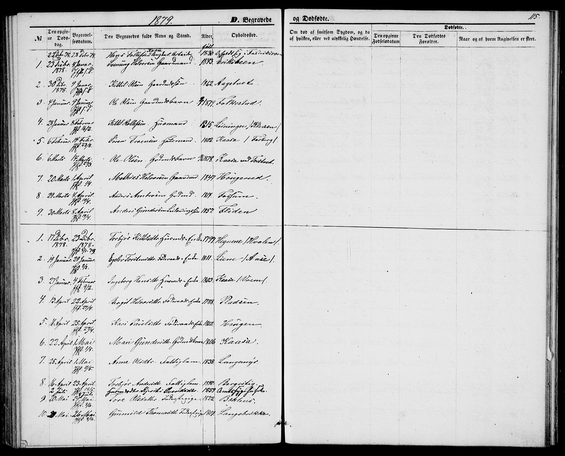 Bø kirkebøker, SAKO/A-257/G/Ga/L0004: Parish register (copy) no. 4, 1876-1882, p. 115