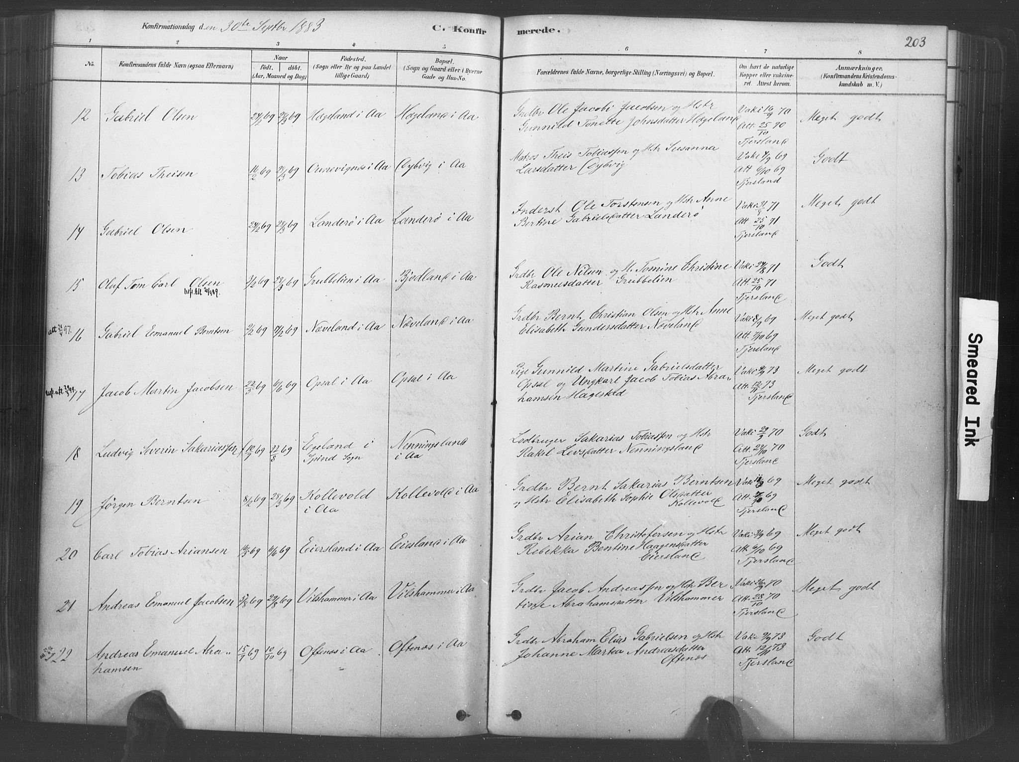 Lyngdal sokneprestkontor, AV/SAK-1111-0029/F/Fa/Fac/L0011: Parish register (official) no. A 11, 1878-1893, p. 203