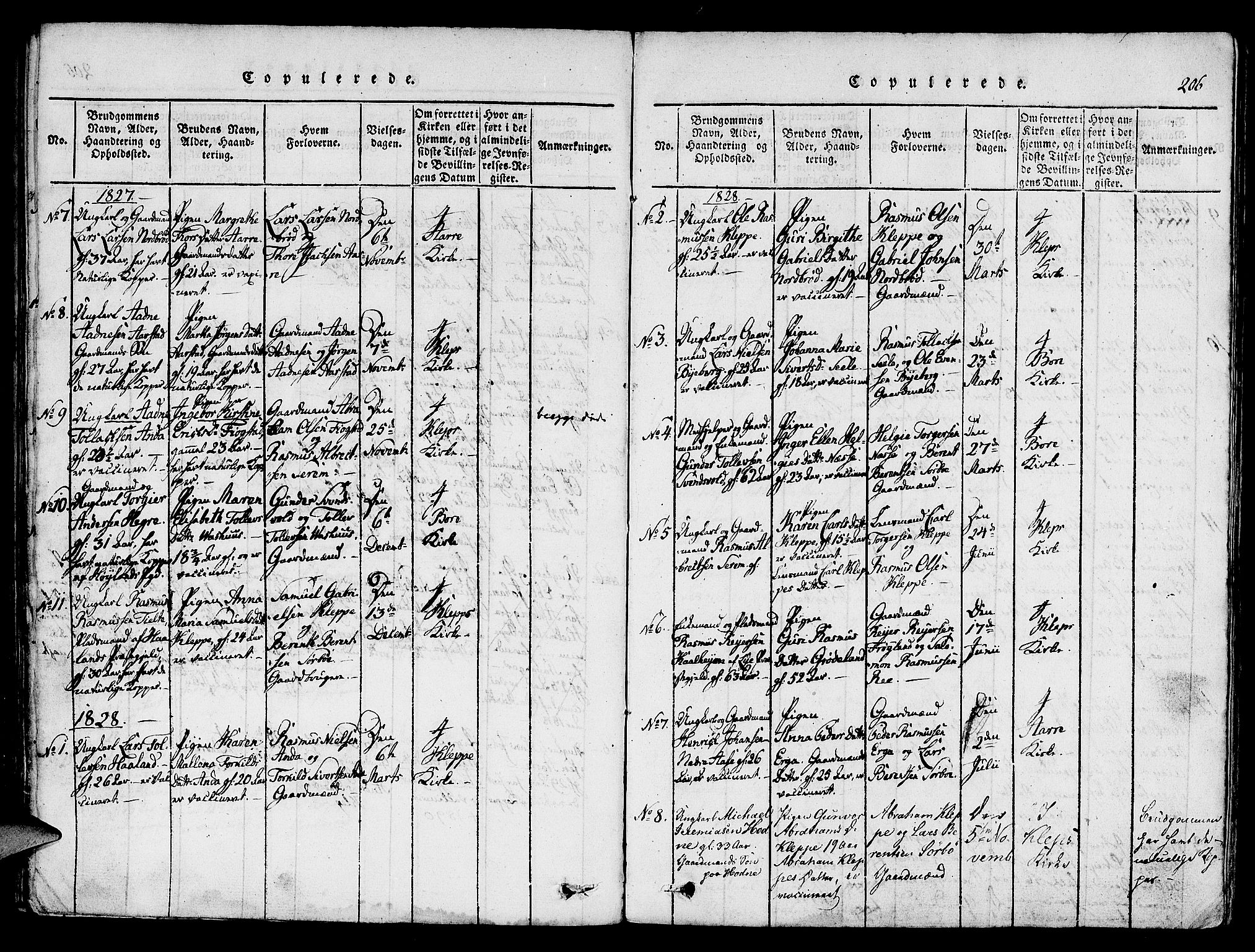 Klepp sokneprestkontor, SAST/A-101803/001/3/30BA/L0002: Parish register (official) no. A 2, 1816-1833, p. 206