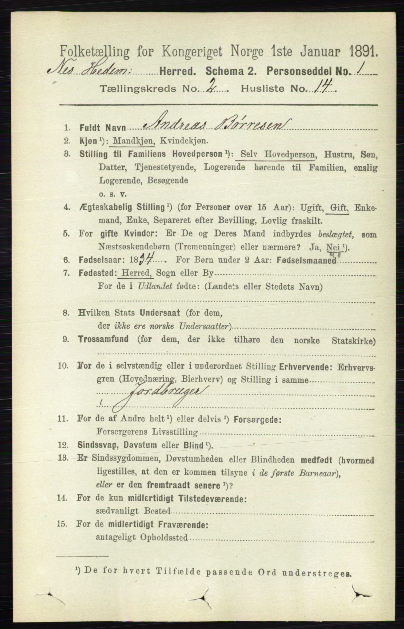 RA, 1891 census for 0411 Nes, 1891, p. 1151