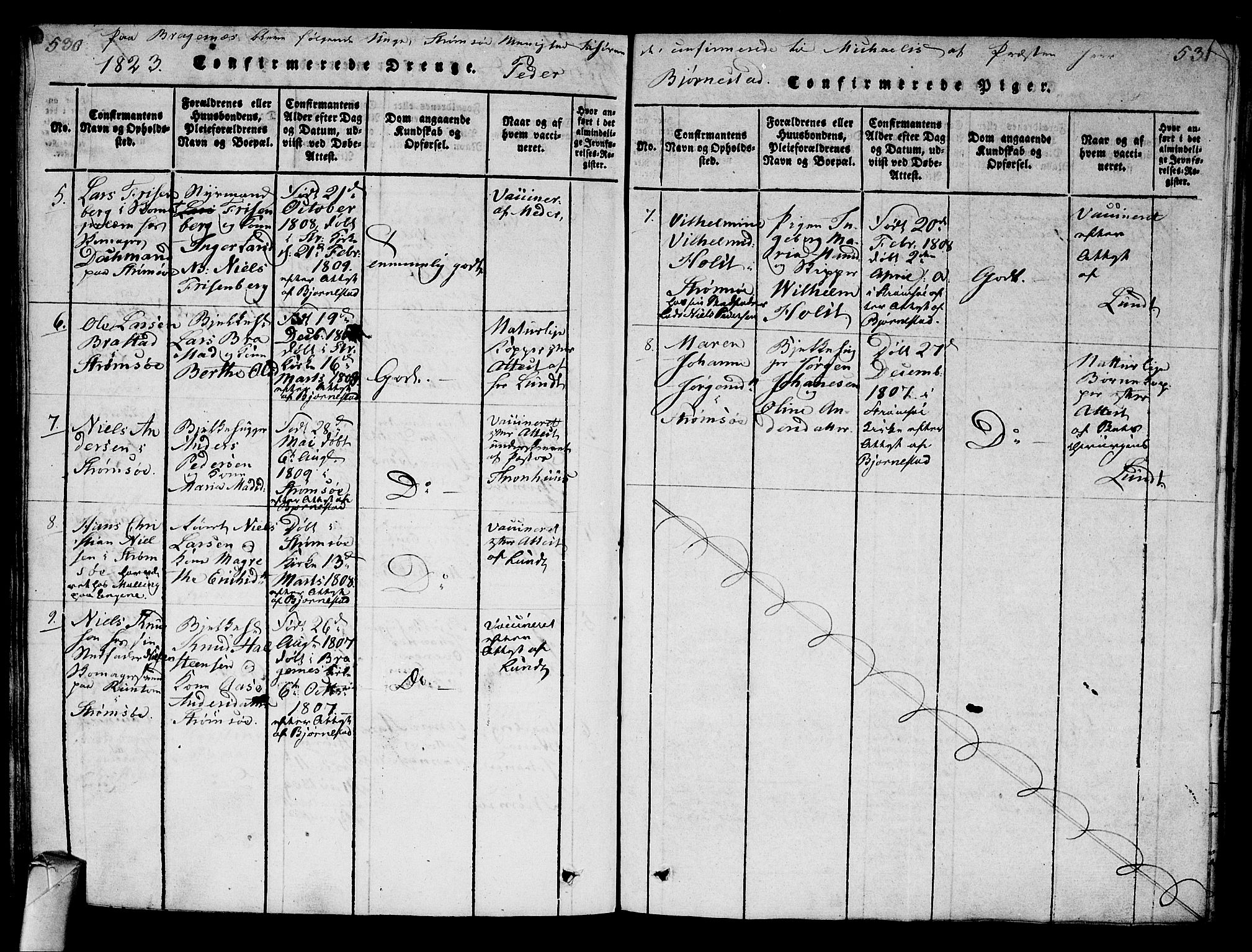 Strømsø kirkebøker, SAKO/A-246/G/Ga/L0001: Parish register (copy) no. 1, 1815-1829, p. 530-531