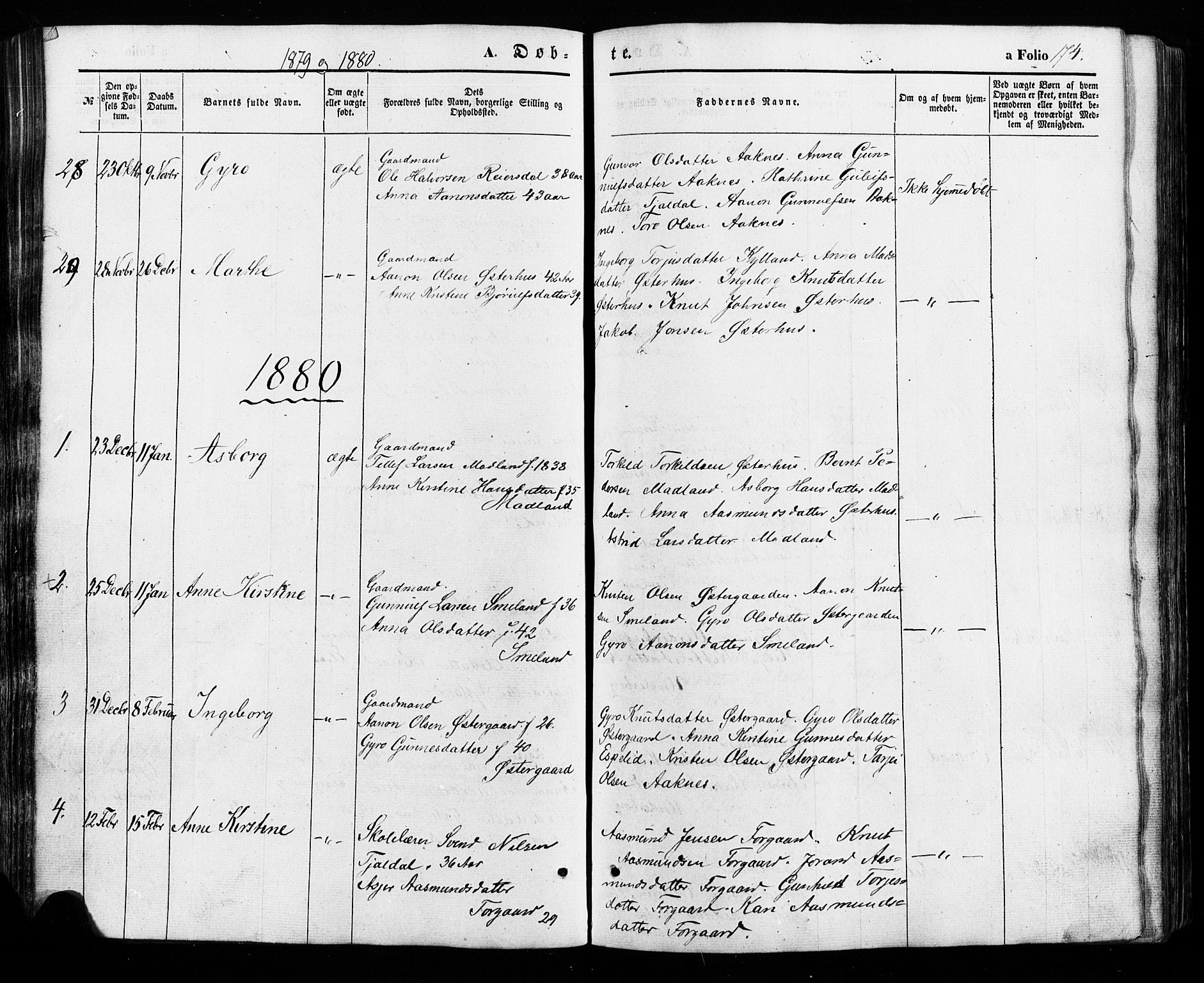 Åseral sokneprestkontor, SAK/1111-0051/F/Fa/L0002: Parish register (official) no. A 2, 1854-1884, p. 174