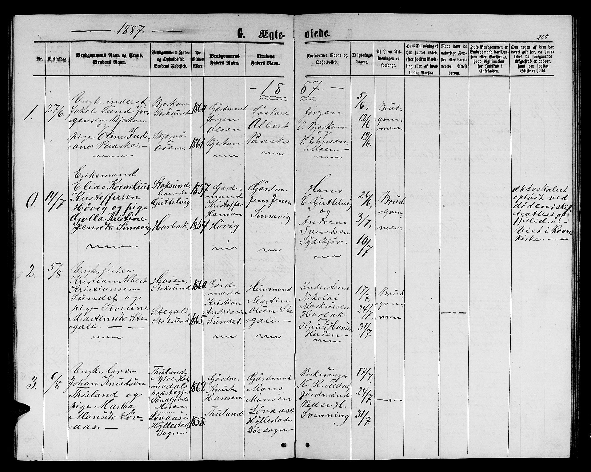 Ministerialprotokoller, klokkerbøker og fødselsregistre - Sør-Trøndelag, SAT/A-1456/656/L0695: Parish register (copy) no. 656C01, 1867-1889, p. 205