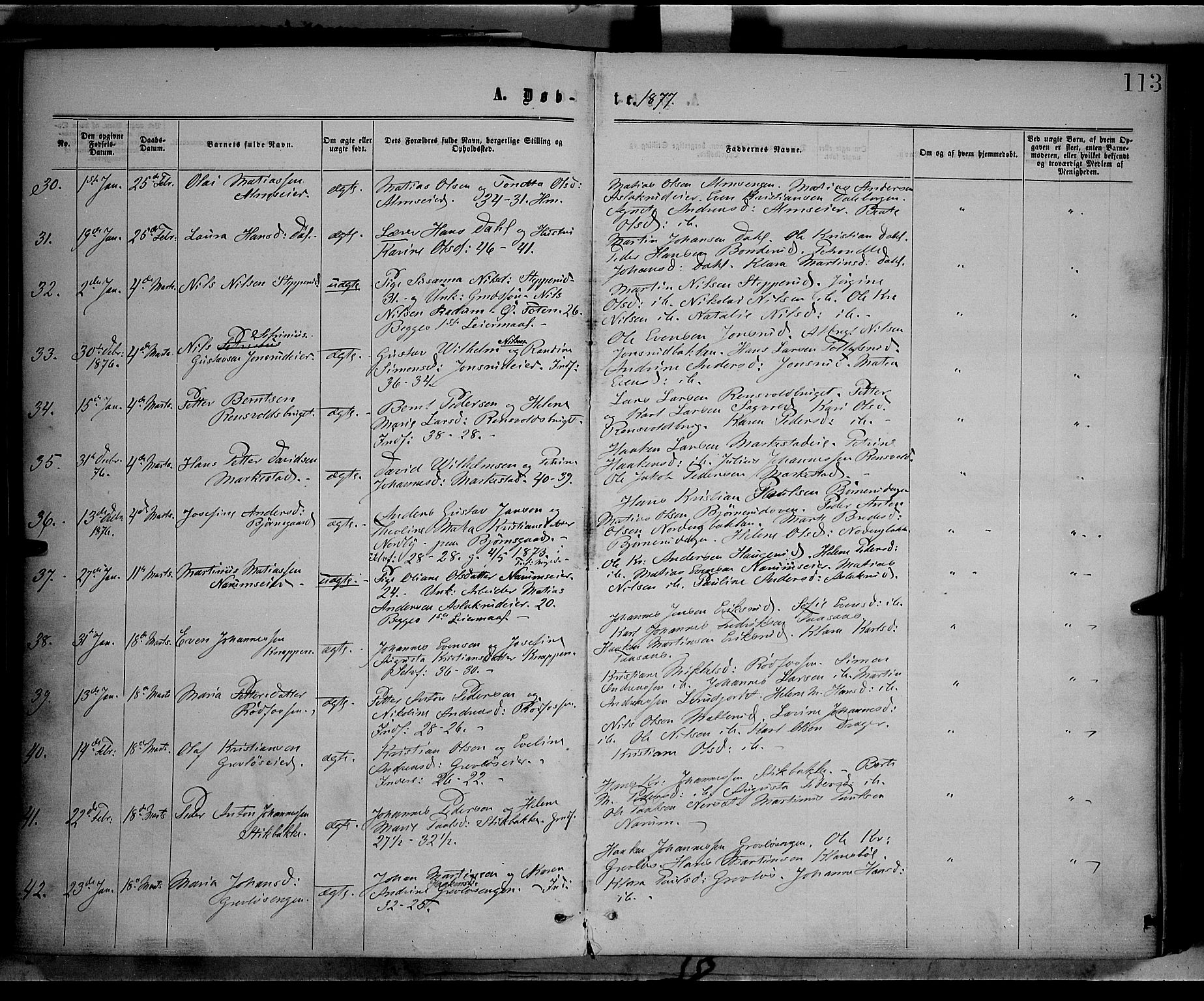 Vestre Toten prestekontor, SAH/PREST-108/H/Ha/Haa/L0008: Parish register (official) no. 8, 1870-1877, p. 113