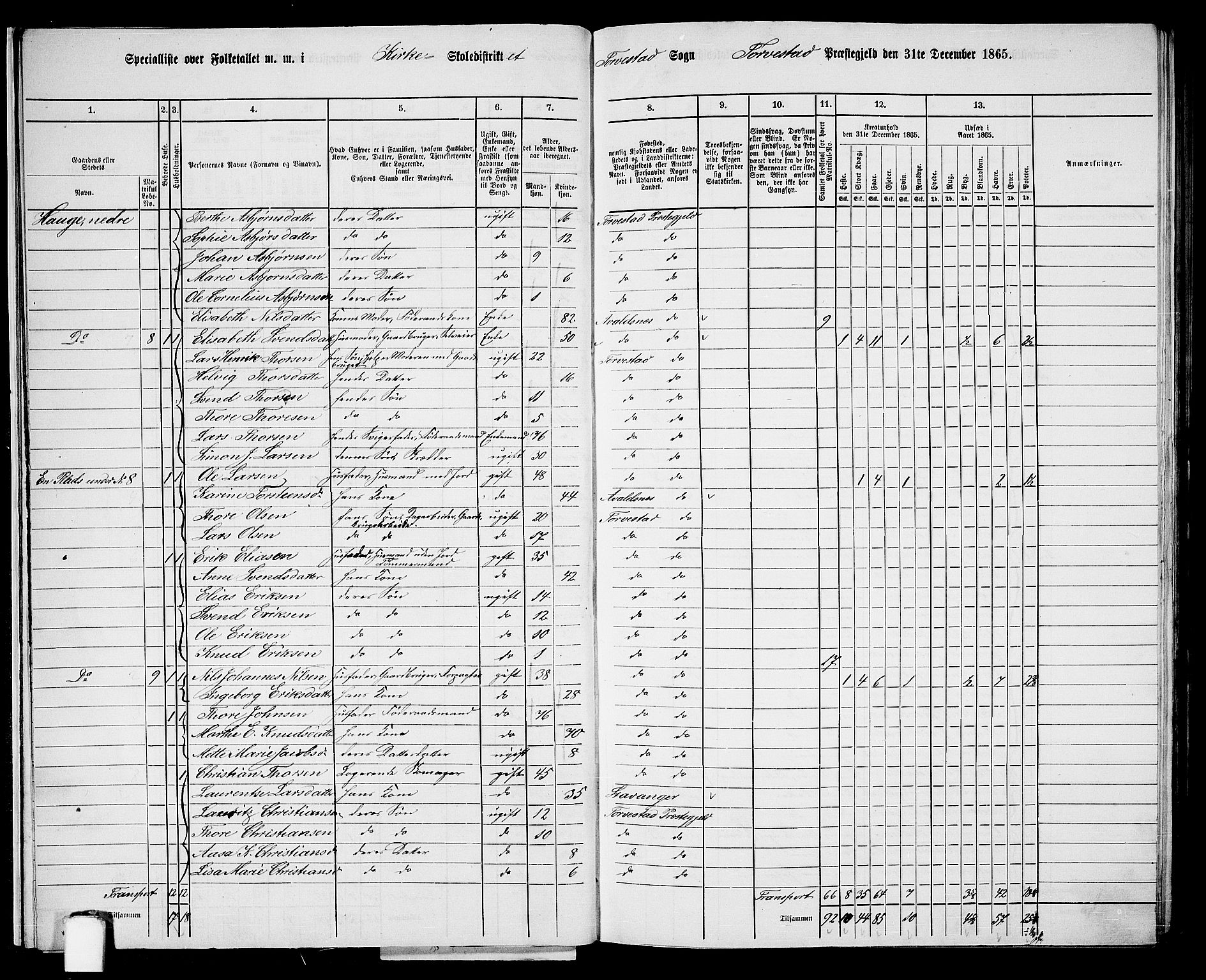 RA, 1865 census for Torvastad/Torvastad, Skåre og Utsira, 1865, p. 19