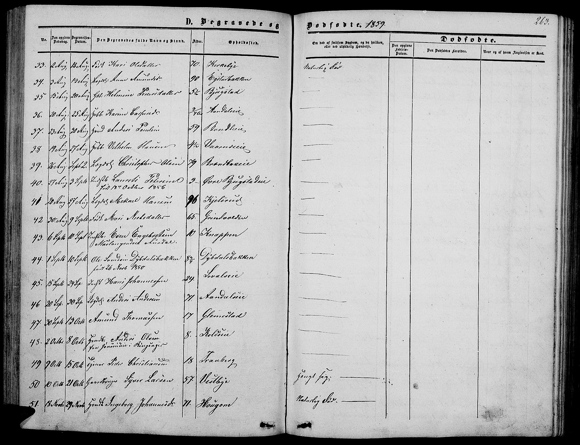 Vardal prestekontor, SAH/PREST-100/H/Ha/Hab/L0005: Parish register (copy) no. 5, 1854-1868, p. 263