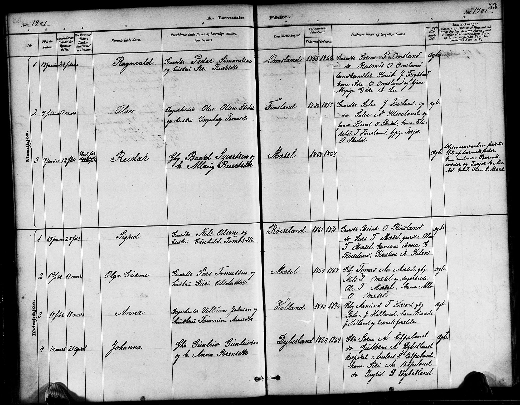 Bjelland sokneprestkontor, SAK/1111-0005/F/Fb/Fbb/L0005: Parish register (copy) no. B 5, 1887-1918, p. 53