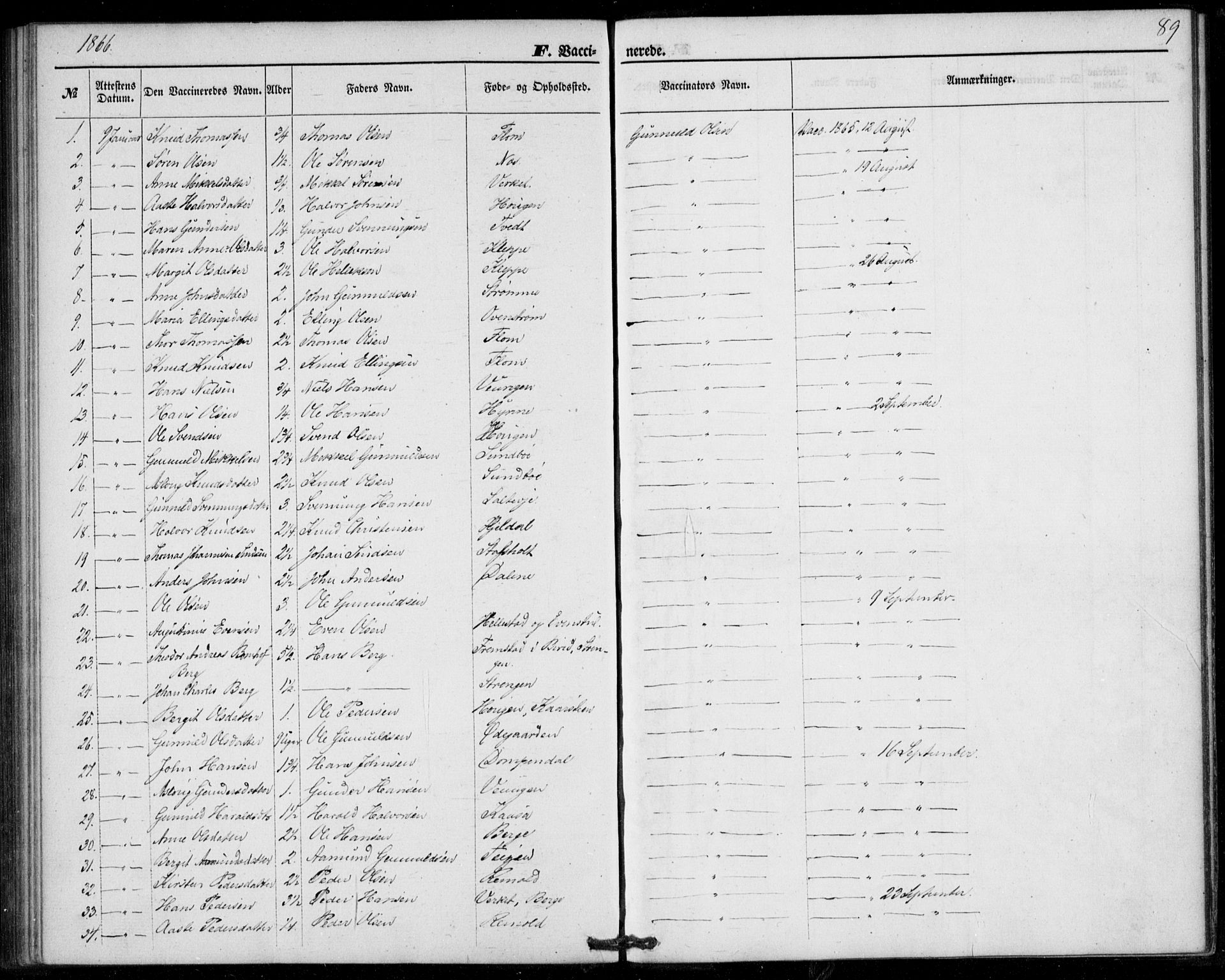 Lunde kirkebøker, SAKO/A-282/F/Fb/L0002: Parish register (official) no. II 2, 1861-1881, p. 89