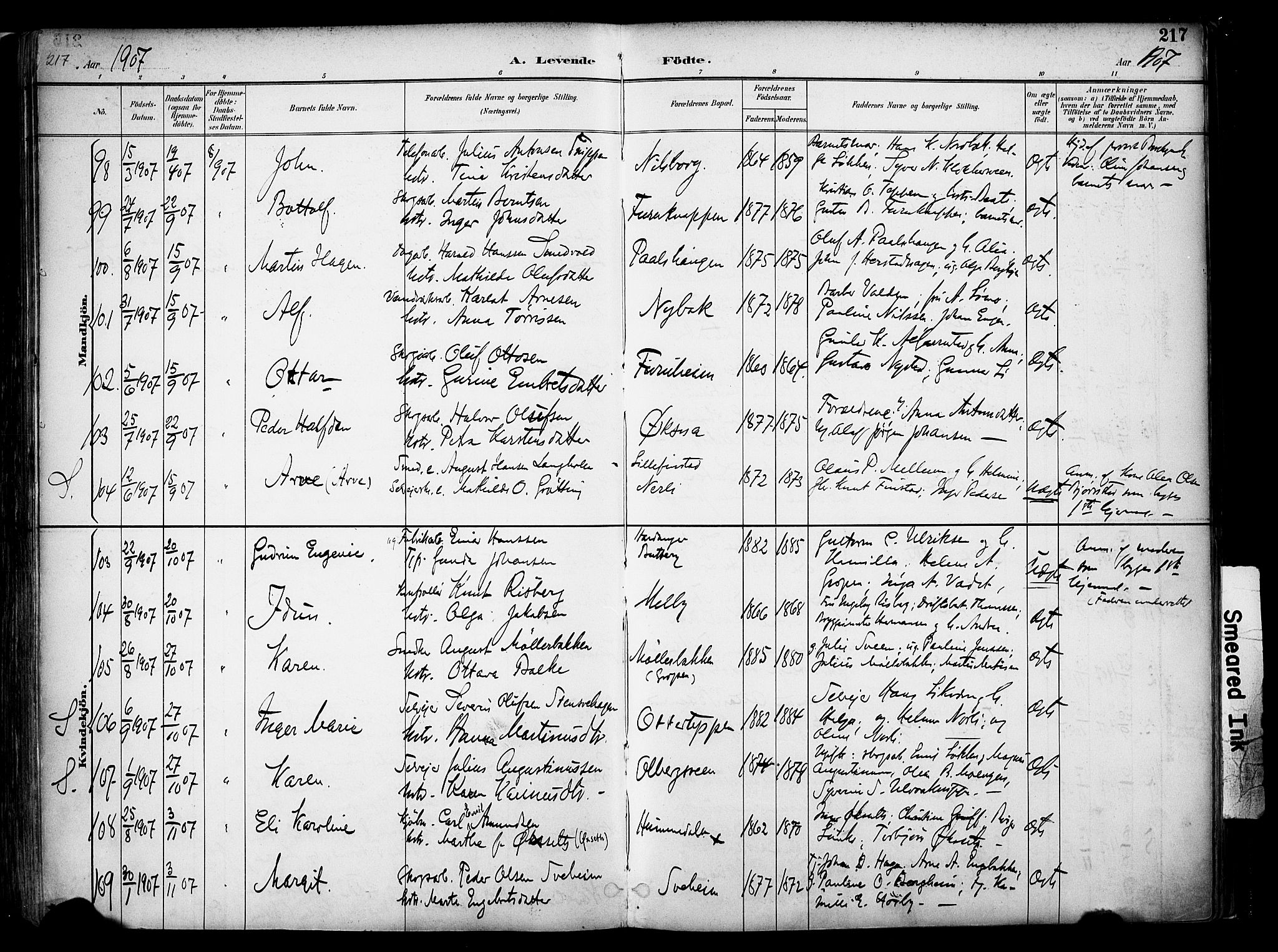 Elverum prestekontor, SAH/PREST-044/H/Ha/Haa/L0014: Parish register (official) no. 14, 1891-1909, p. 217