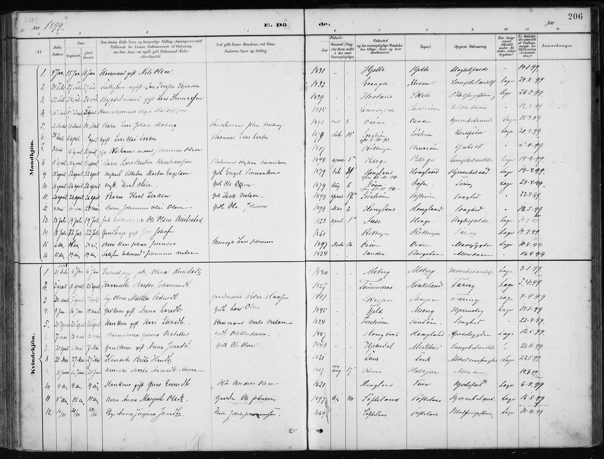 Os sokneprestembete, AV/SAB-A-99929: Parish register (official) no. B 1, 1885-1902, p. 206