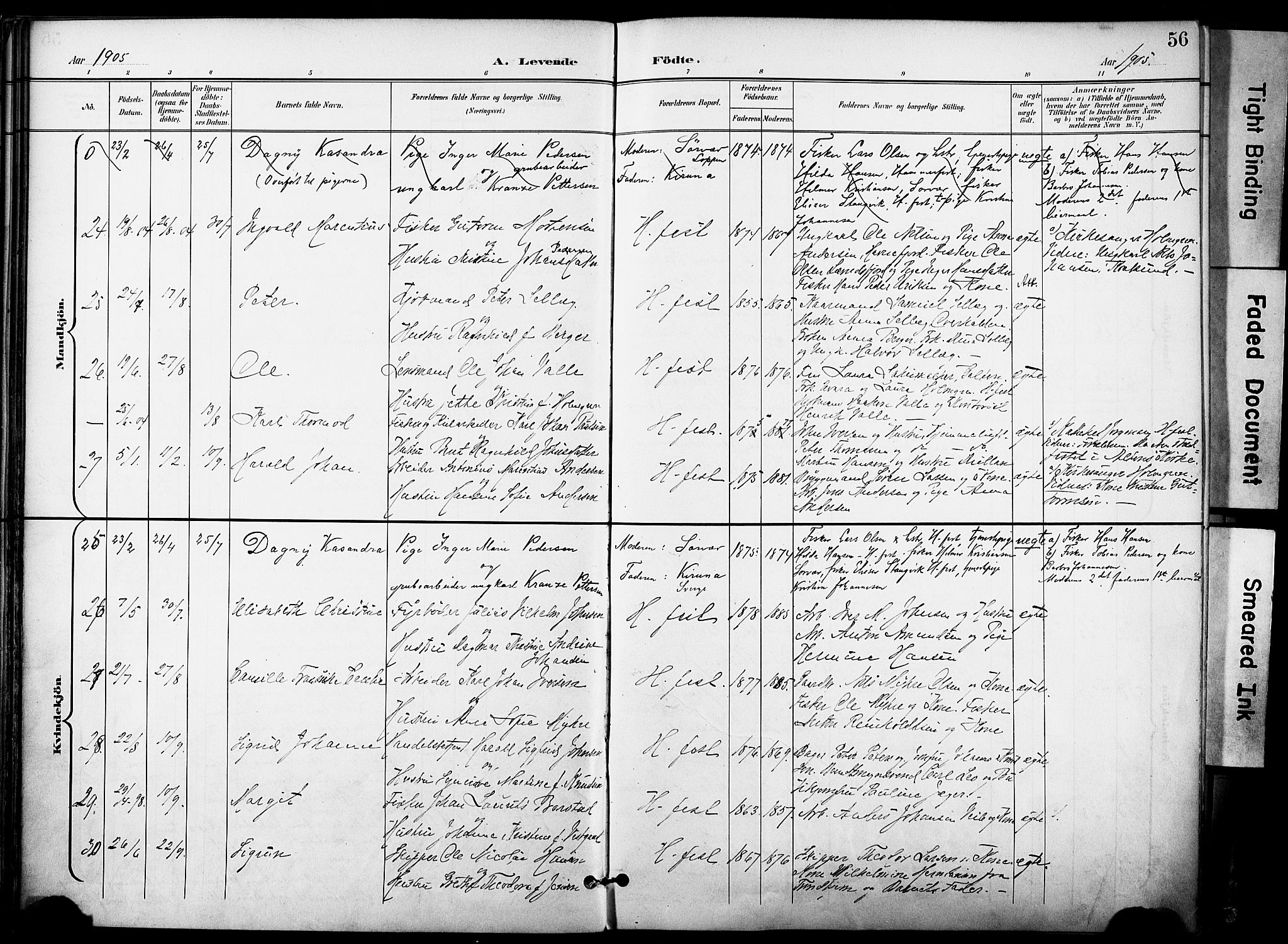 Hammerfest sokneprestkontor, SATØ/S-1347/H/Ha/L0010.kirke: Parish register (official) no. 10, 1898-1905, p. 56