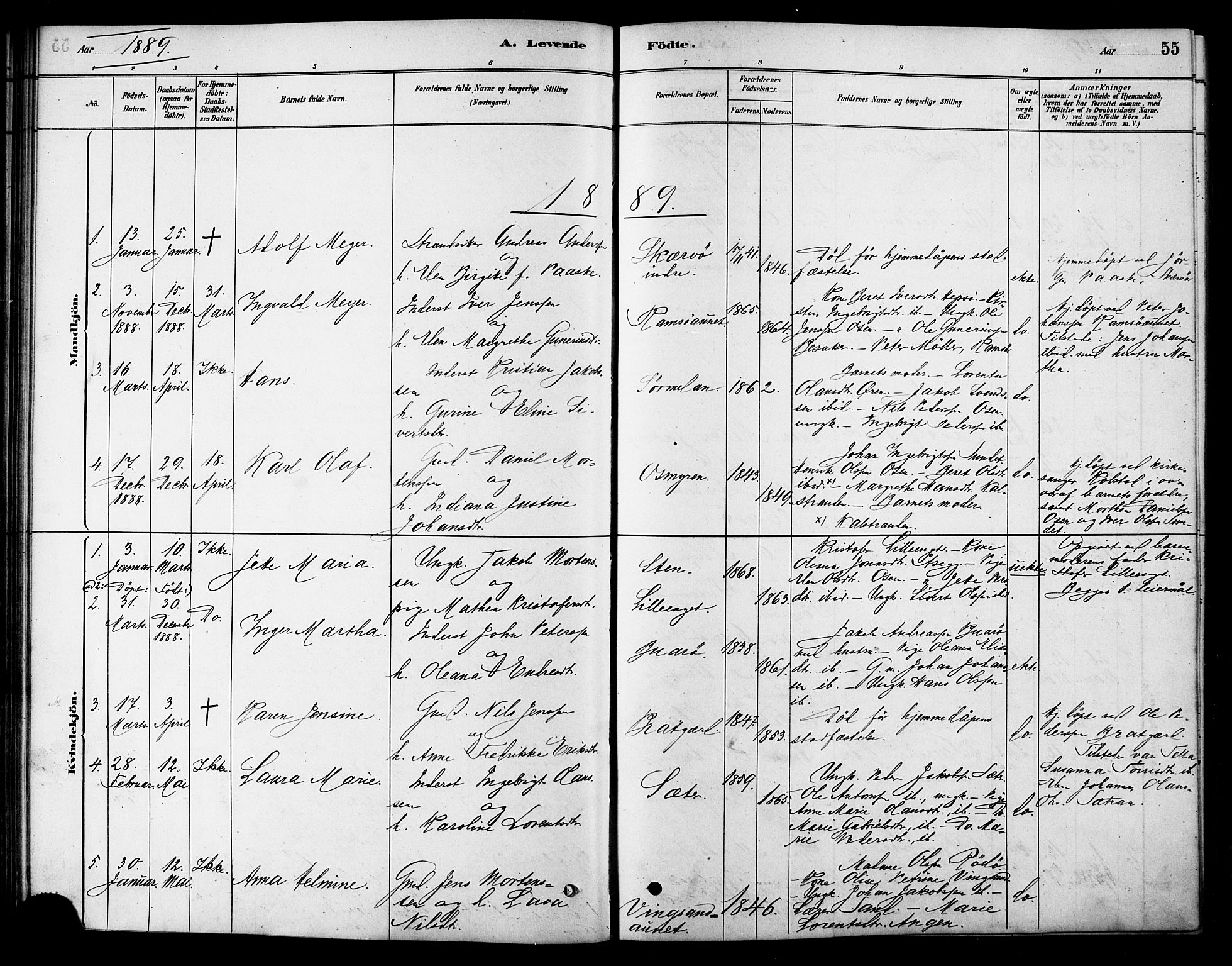 Ministerialprotokoller, klokkerbøker og fødselsregistre - Sør-Trøndelag, SAT/A-1456/658/L0722: Parish register (official) no. 658A01, 1879-1896, p. 55