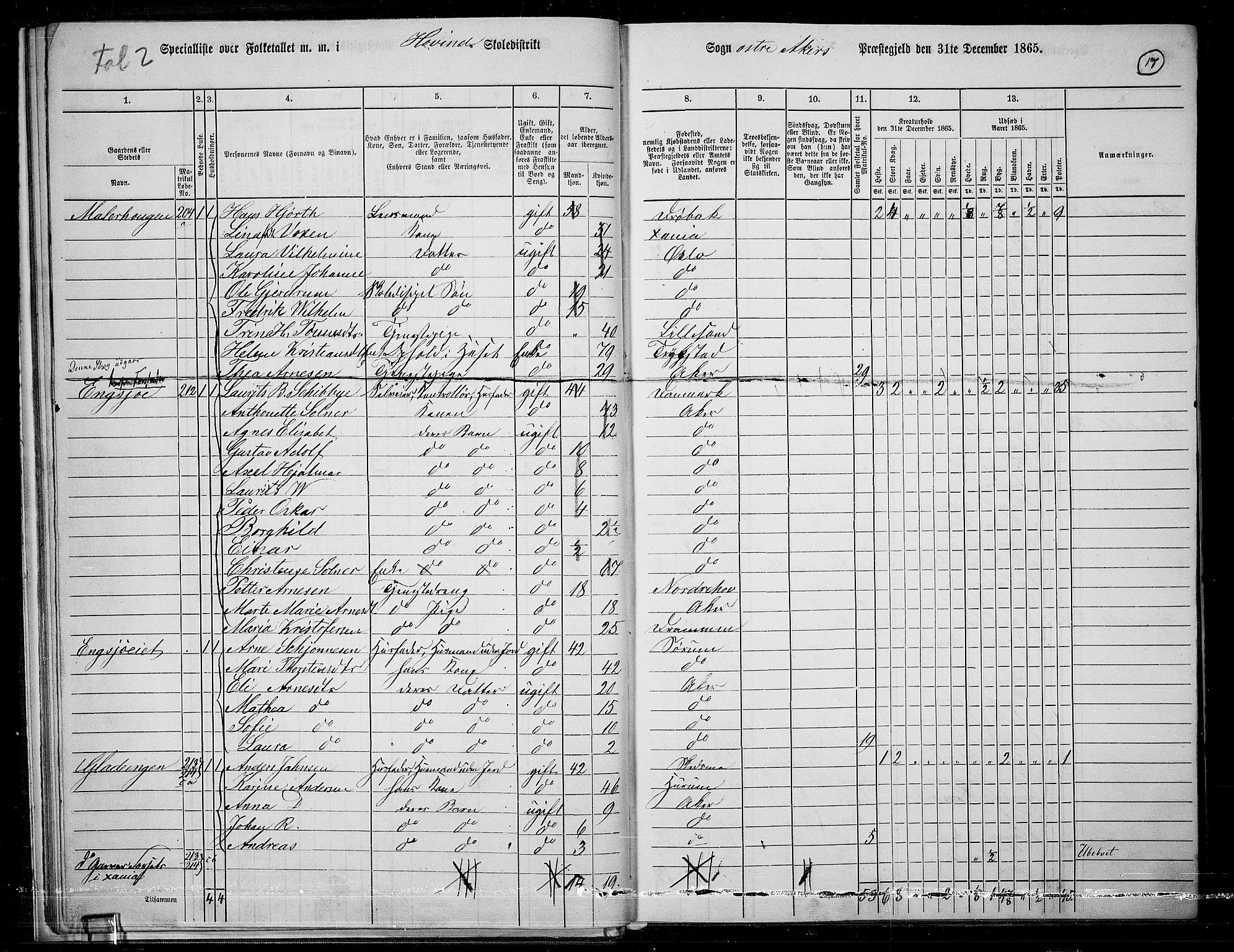 RA, 1865 census for Østre Aker, 1865, p. 241