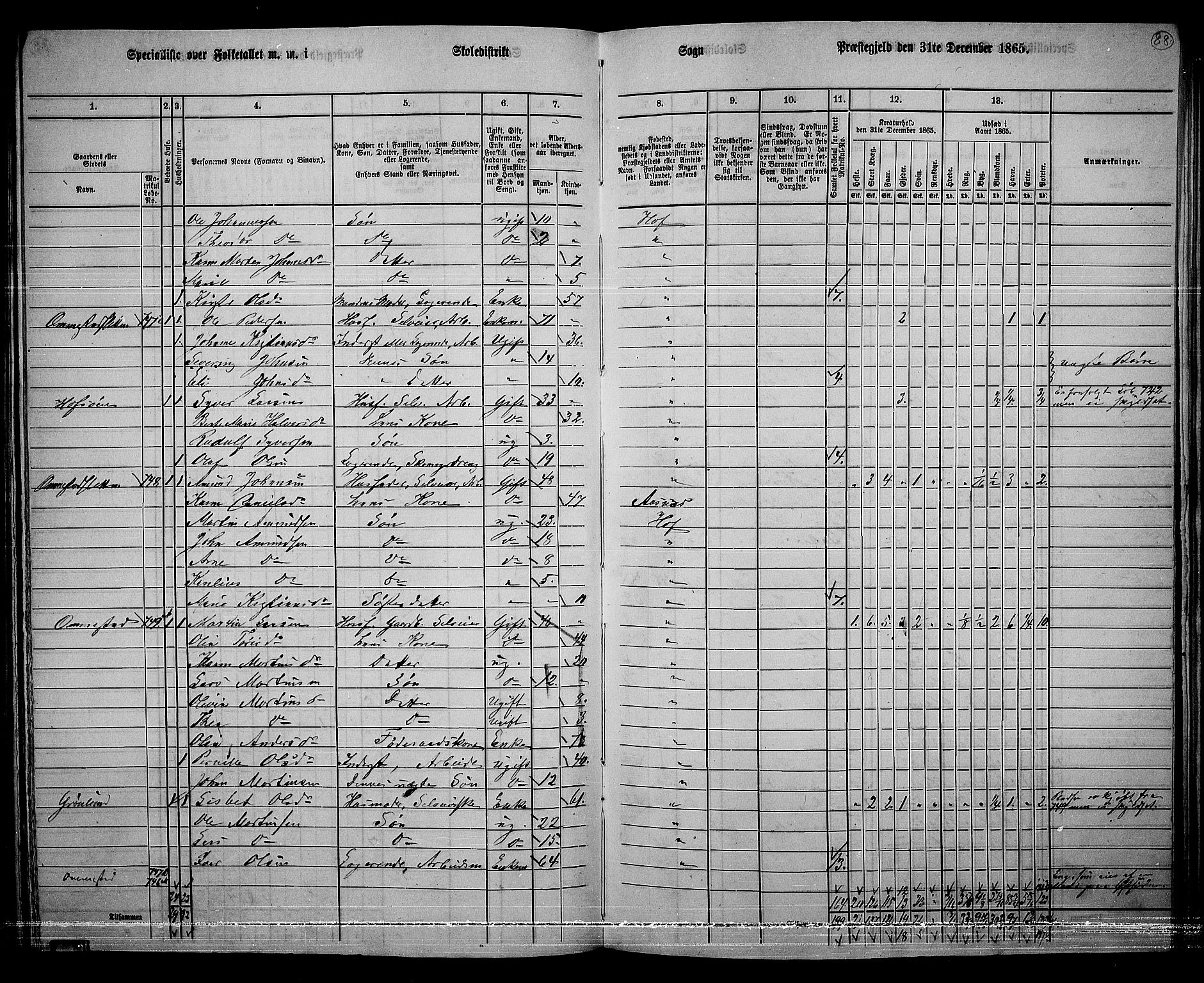 RA, 1865 census for Hof, 1865, p. 84