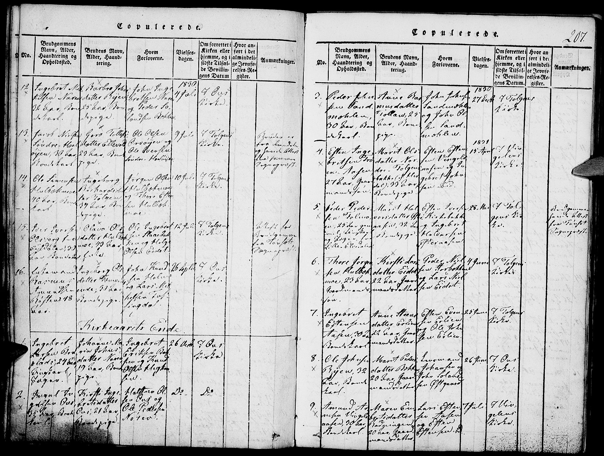 Tolga prestekontor, SAH/PREST-062/K/L0004: Parish register (official) no. 4, 1815-1836, p. 207