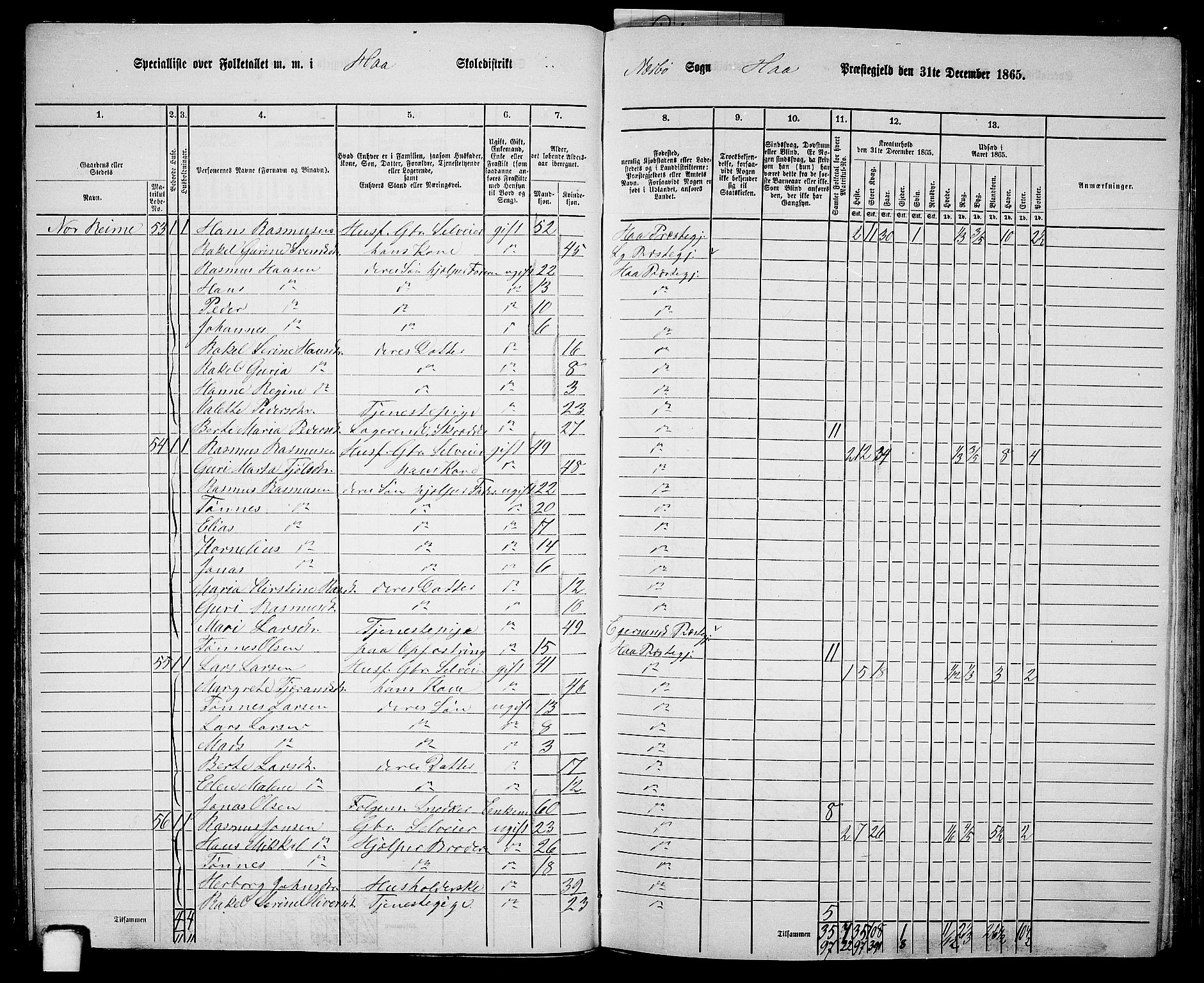 RA, 1865 census for Hå, 1865, p. 38