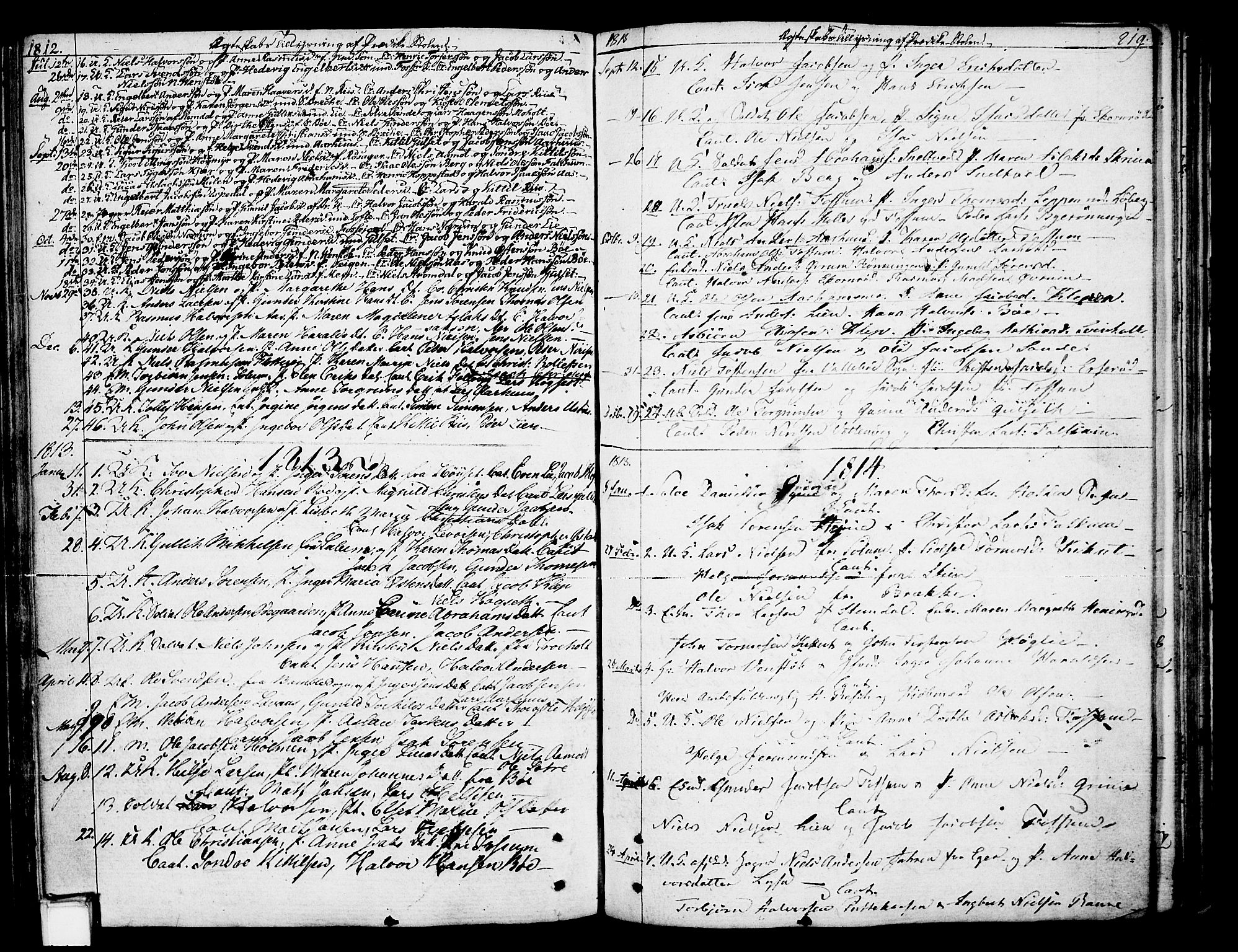 Gjerpen kirkebøker, SAKO/A-265/F/Fa/L0003: Parish register (official) no. I 3, 1796-1814, p. 219