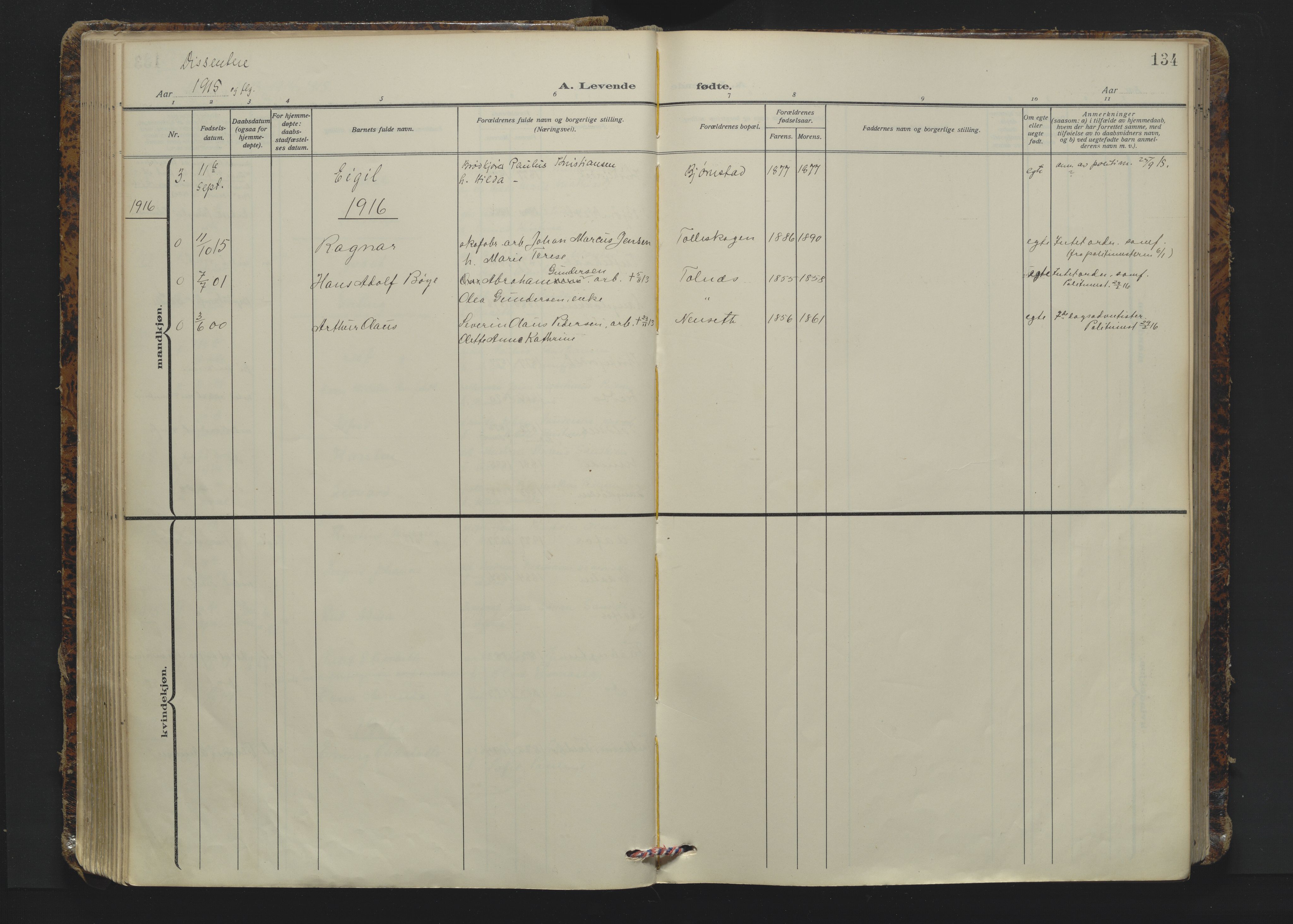 Solum kirkebøker, AV/SAKO-A-306/F/Fa/L0012: Parish register (official) no. I 12, 1909-1922, p. 134