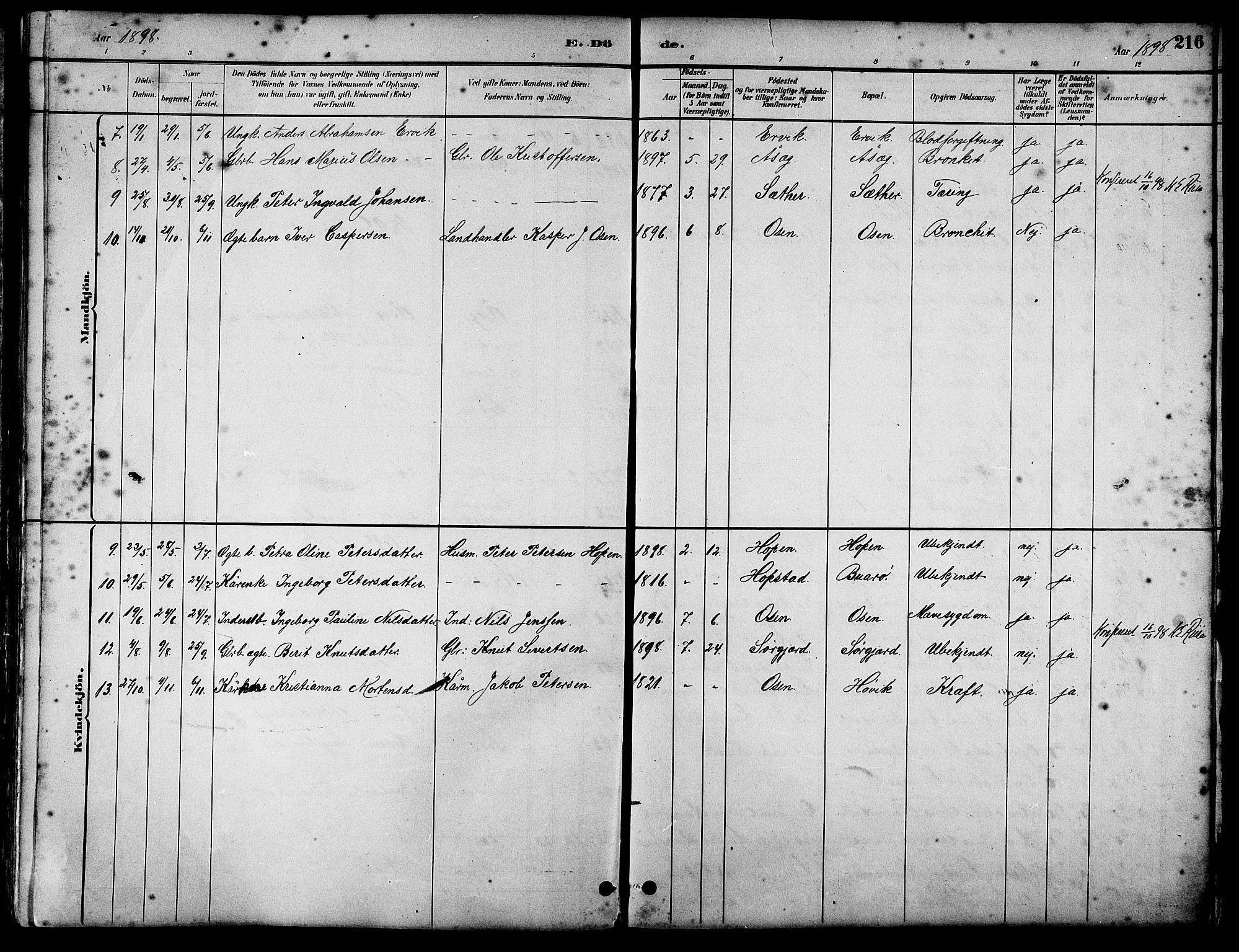 Ministerialprotokoller, klokkerbøker og fødselsregistre - Sør-Trøndelag, SAT/A-1456/658/L0726: Parish register (copy) no. 658C02, 1883-1908, p. 216