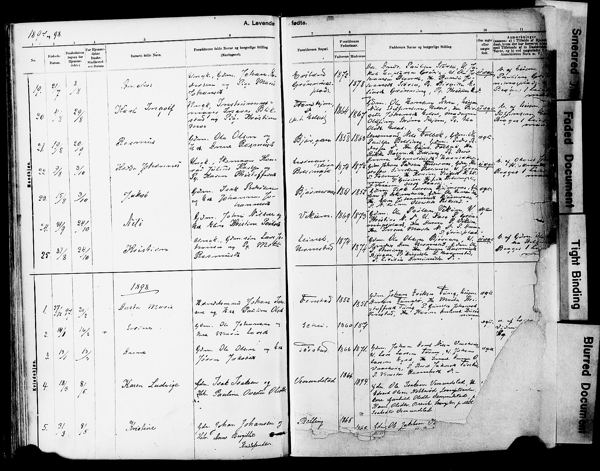 Ministerialprotokoller, klokkerbøker og fødselsregistre - Sør-Trøndelag, SAT/A-1456/646/L0615: Parish register (official) no. 646A13, 1885-1900, p. 54