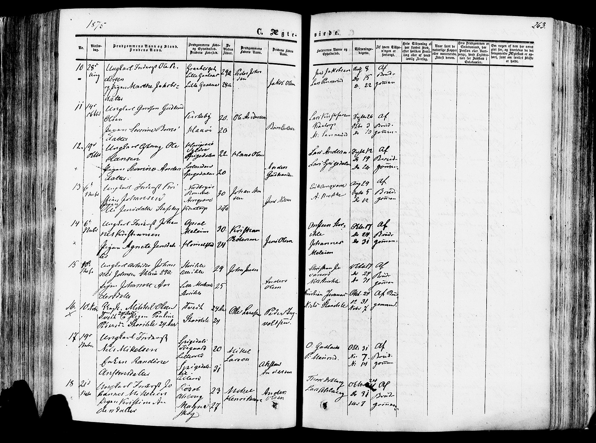 Vang prestekontor, Hedmark, SAH/PREST-008/H/Ha/Haa/L0013: Parish register (official) no. 13, 1855-1879, p. 263
