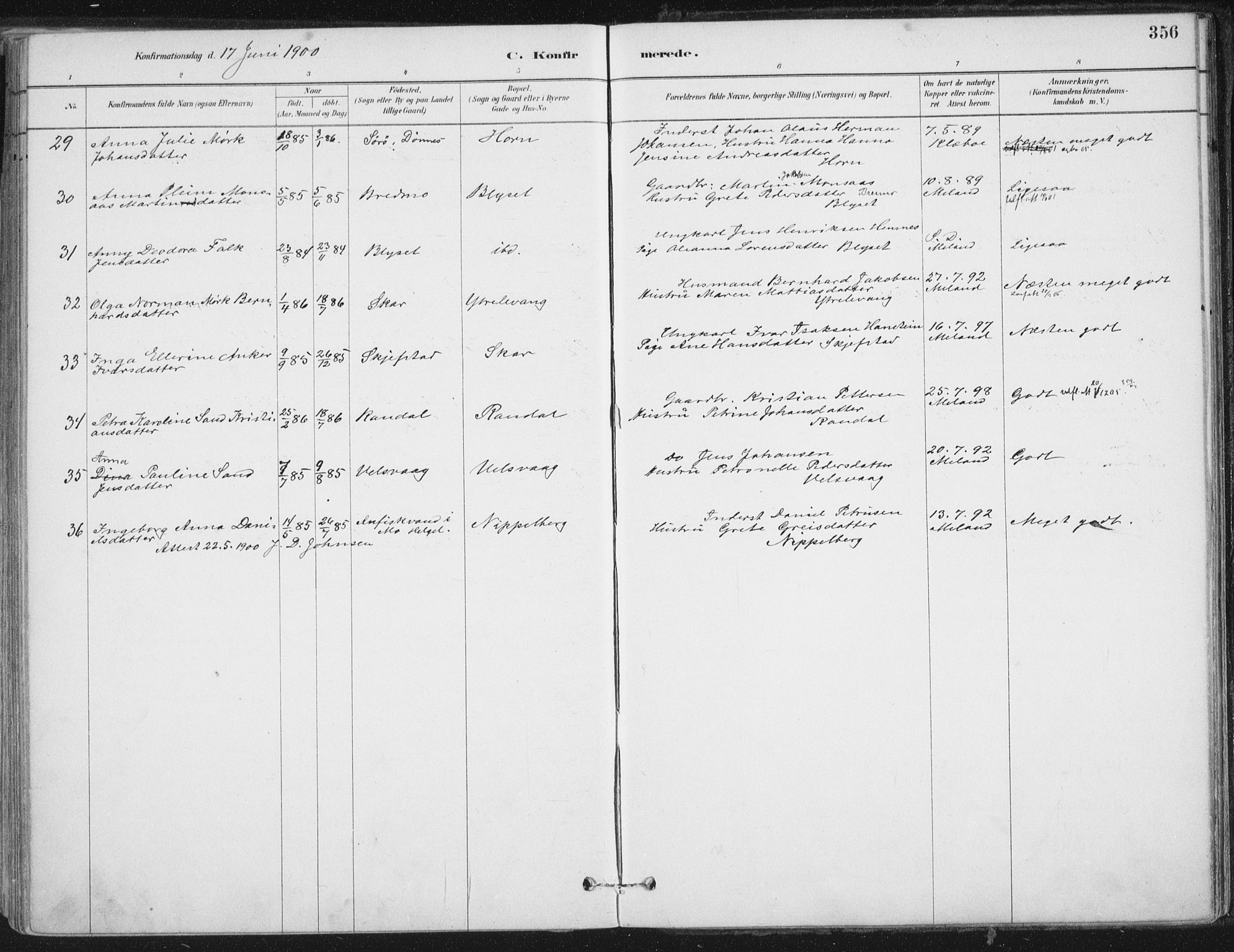 Ministerialprotokoller, klokkerbøker og fødselsregistre - Nordland, AV/SAT-A-1459/838/L0552: Parish register (official) no. 838A10, 1880-1910, p. 356