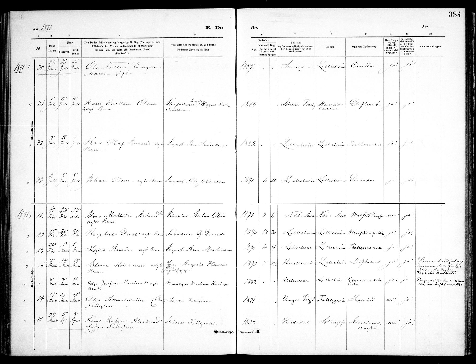 Skedsmo prestekontor Kirkebøker, SAO/A-10033a/F/Fa/L0013: Parish register (official) no. I 13, 1883-1891, p. 384